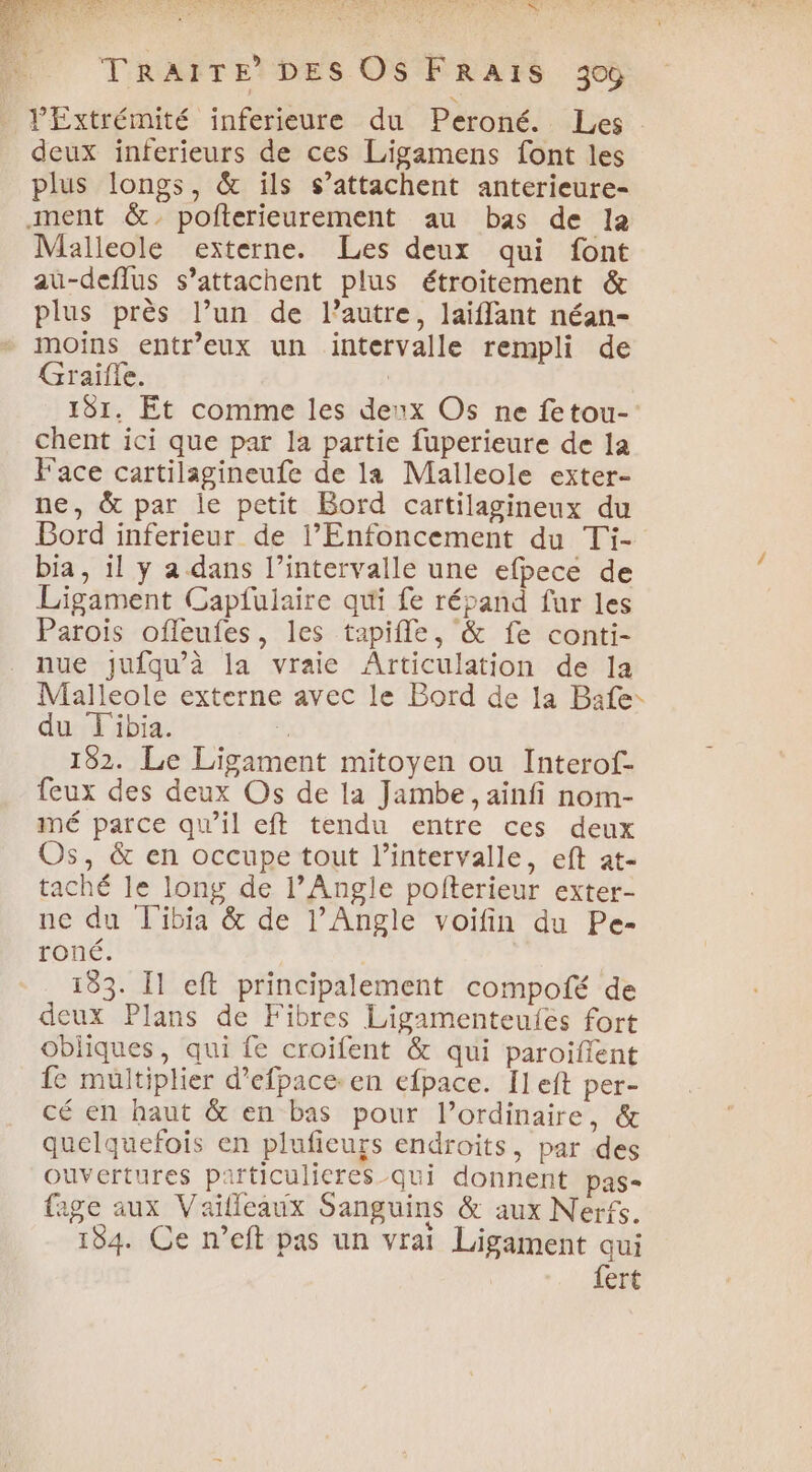 NS TRAITE DES Os FRA1ïS 30% JExtrémité inferieure du Peroné. Les . deux inferieurs de ces Ligamens font les plus longs, &amp; ïls s’attachent anterieure- ment &amp;: poñterieurement au bas de la Malleole externe. Les deux qui font au-deflus s’attachent plus étroitement &amp; plus près l’un de l’autre, laiffant néan- moins entr’eux un intervalle rempli de Graifle. | 181. Et comme les deux Os ne fetou- chent ici que par la partie fuperieure de la Face cartilagineufe de la Malleole exter- ne, &amp; par le petit Bord cartilagineux du Bord inferieur de l’Enfoncement du Ti- bia, il y a dans l'intervalle une efpece de Ligament Capfulaire qui fe répand fur les Parois ofleufes, les tapifle, &amp; fe conti- nue jufqu’à la vraie Articulation de la Malleole externe avec le Bord de la Bafe: du T'ibia. | 182. Le Ligament mitoyen ou Interof- feux des deux Os de la Jambe , ainfi nom- mé parce qwil eft tendu entre ces deux Os, &amp; en occupe tout l'intervalle, eft at- taché le long de l’ Angle pofterieur exter- ne du T'ibia &amp; de l’ Angle voifin du Pe- roné. 133. Il eft principalement compofé de deux Plans de Fibres Ligamenteufes fort obliques, qui fe croïifent &amp; qui paroiflent fe multiplier d’efpace en efpace. Il eft per- cé en haut &amp; en bas pour l’ordinaire, &amp; quelquefois en plufieurs endroits, par des ouvertures particulieres -Qui donnent pas fage aux Vaïlleaux Sanguins &amp; aux Nerfs. 184. Ce n’eft pas un vrai Ligament qui fert