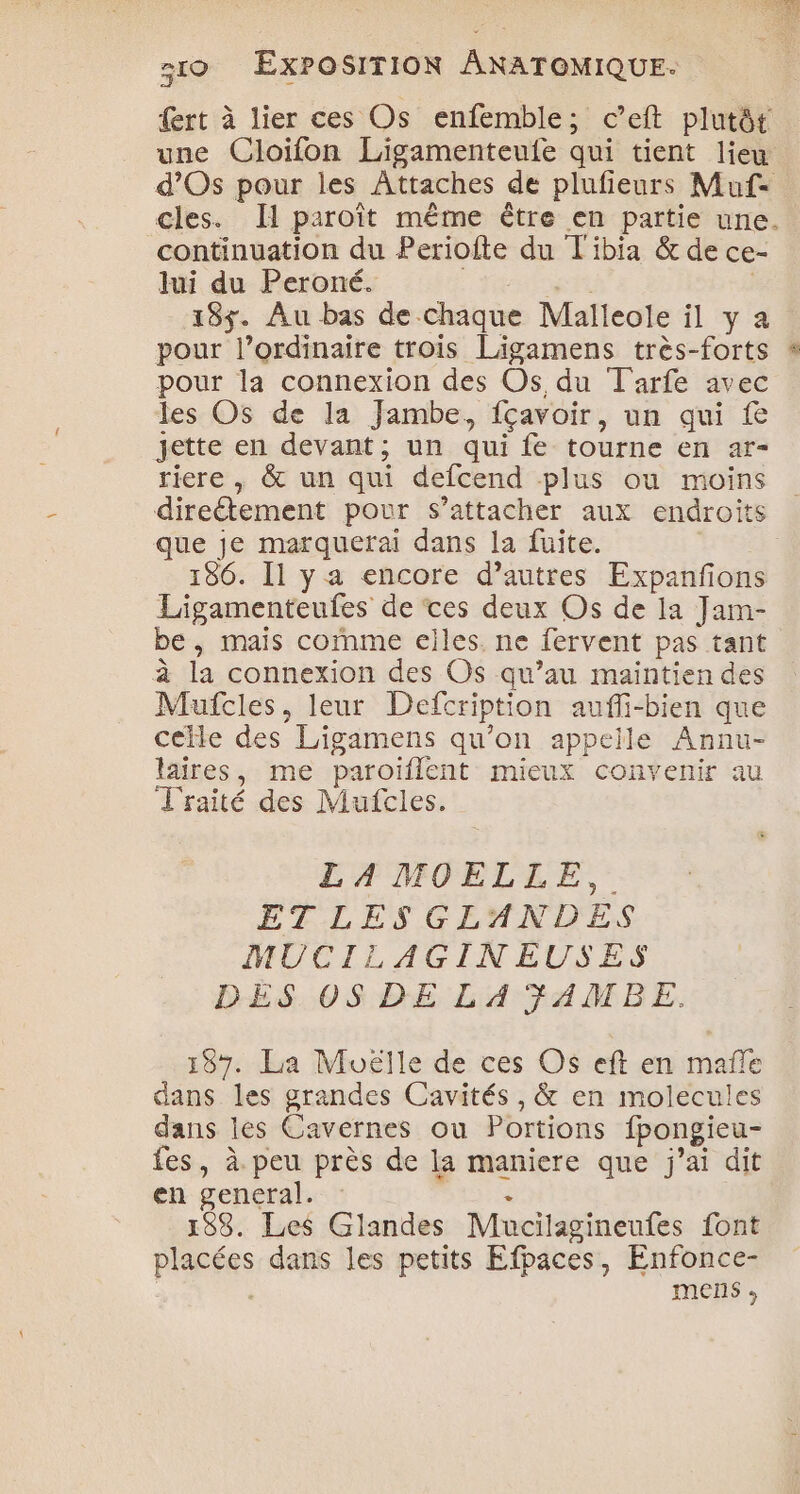 ert à lier ces Os enfemble; c’eft plutôt une Cloifon Ligamenteufe qui tient lieu d'Os pour les Attaches de plufieurs Muf- cles. Il paroît même être en partie une. continuation du Periofte du T'ibia &amp; de ce- lui du Peroné. ht | 185. Au bas de chaque Malleole il y a pour l’ordinaire trois Ligamens très-forts pour la connexion des Os du Tarfe avec les Os de la Jambe, fçavoir, un qui fe jette en devant; un qui fe tourne en ar- riere , &amp; un qui defcend plus ou moins direétement pour s’attacher aux endroits que je marquerai dans la fuite. 186. Il y a encore d’autres Expanfons Ligamenteufes de ces deux Os de ia Jam- be, mais cofnme elles. ne fervent pas tant à la connexion des Os qu’au maïntien des Mufcles, leur Defcription aufli-bien que celle des Ligamens qu’on appeile Annu- laires, me paroiflent mieux convenir au Traité des Mufcles. LA MOELLE, ET LES GLANDES MUCILAGINEUSES DES 0S DE LA SAMBE. 187. La Moëlle de ces O$ eft en mafle dans les grandes Cavités, &amp; en molecules dans les Cavernes ou Portions fpongieu- fes, à peu près de la maniere que j'ai dit en general. e 188. Les Glandes Mucilagineufes font placées dans les petits Efpaces, Enfonce- mens ;
