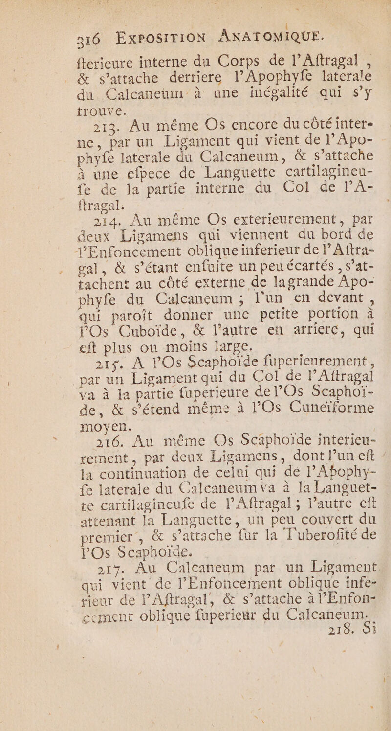 | { 316 EXPOSITION ANATOMIQUE. fterieure interne du Corps de l’Aftragal , . &amp; s'attache derriere l’Apophyie laterale du Calcaneum à une inégalité qui s’y trouve. 213. Au même Os encore du côté inter- ne, par un Ligament qui vient de l’Apo- phyfe laterale du Calcaneum, &amp; s'attache à une efpece de Languette cartilagineu- fe de la partie interne du Col de lA- {tragal. 214. Âu même Os exterieurement, par deux Ligamens qui viennent du bord de J’Enfoncement oblique inferieur de l’Aftra- gal, &amp; s’étant enfuite un peu écartés , s’at- tachent au côté externe de lagrande Apo- phyfe du Calcaneuim ; l'un en devant, qui paroît donner une petite portion à Os Cuboïde, &amp; l’autre en arriere, qui eit plus ou moins large. 215. À l’Os Scaphoïde fuperieurement, par un Ligament qui du Col de l’Altragal va à la partie fuperieure de l’Os Scaphoï- de, &amp; s’étend même à l’Os Cuneïforme moyen. 216. Au même Os Scaphoïde interieu- rement, par deux Ligamens, dont l’un eff : la continuation de celui qui dé l’Abophy- fe laterale du Calcaneum va à la Languet- te cartilagineufe de l’Aftragal ; l’autre eft attenant la Languette, un peu couvert du remier , &amp; s'attache fur la T'uberofité de l'Os Scaphoiïde. 217. Au Calcaneum par un Ligament qui vient de l’Enfoncement oblique înfe- rieur de l’Aftragal, &amp; s’attache à l'Enfon- cement oblique fuperieur du CHIC 218. 01