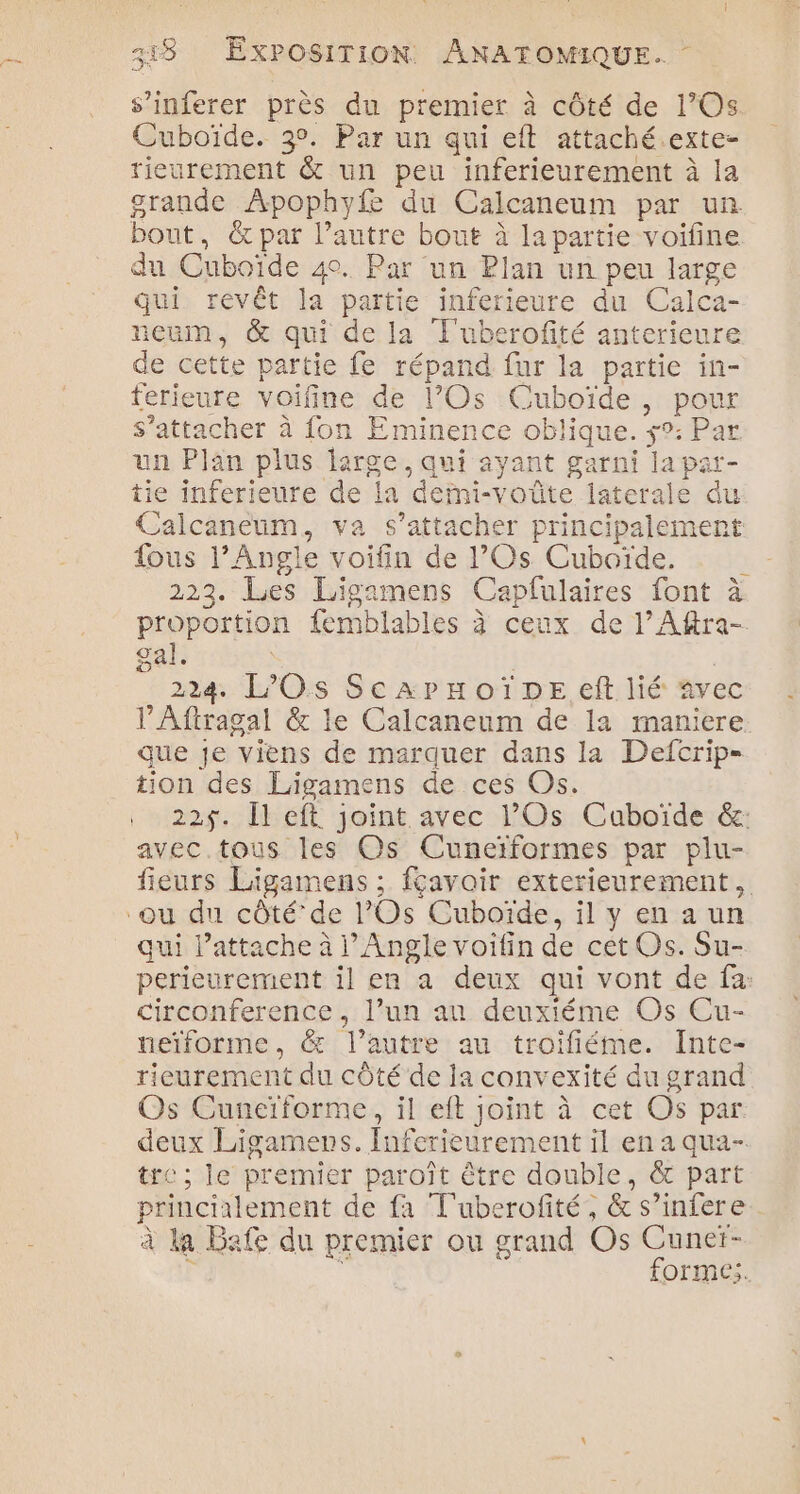 s’inferer près du premier à côté de l’Os. Cuboïde. 3°. Par un qui eft attaché.exte- rieurement &amp; un peu inferieurement à la grande Apophyfe du Calcaneum par un bout, &amp; par l’autre bout à la partie voifine du Cuboïde 40. Par un Plan un peu large qui revêt la partie inferieure du Calca- neum, &amp; qui de la T'uberofité anterieure de cette partie fe répand fur la partie in- ferieure voifine de l’Os Cuboïde, pour s’attacher à fon Eminence oblique. $°: Par un Plan plus jarge, qui ayant garni la par- tie inferieure de la defni-voûte laterale du Calcaneum, va s’attacher principalement fous l’Angle voifin de l’Os Cuboiïde. 223. Les Ligamens Capfulaires font à proportion femblables à ceux de l’Aftra- gal. | | 224. L’O.s ScarHoïDE eft lié avec l’Aftragal &amp; le Calcaneum de la maniere que je viens de marquer dans la Defcrip= tion des Ligamens de ces Os. 22$. Îl eft joint avec l’Os Cuboïde &amp;: avec tous les Os Cuneïformes par plu- fleurs Ligamens ; fçavoir exterieurement, qui Pattache à l’Angle voifin de cet Os. Su- perieurement il en a deux qui vont de fa: circonference , l’un au deuxitéme Os Cu- neïforme, &amp; l’autre au troifiéme. Inte- rieurement du côté de la convexité du grand Os Cuneïforme, il eft joint à cet Os par deux Ligamens. Inferieurement il en a qua- tre ; le premier paroît être double, &amp; part princialement de fa T'uberofité, &amp; s’infere. à la Bafe du premier ou grand Os Cuneï- F  forme;.