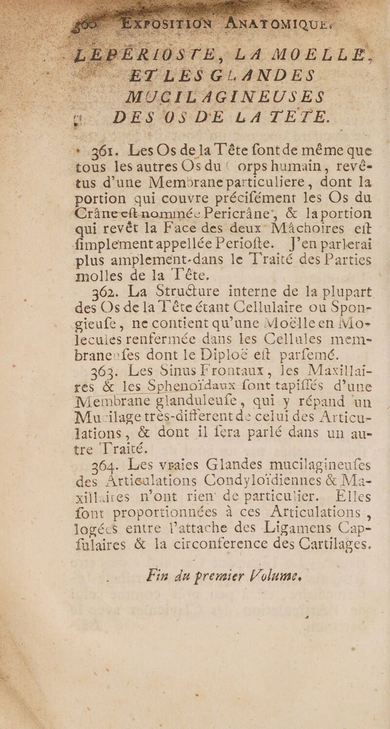 . ge DE $ 05 D'E LA TETE. tus d’une Membraneparticuliere, dont Ia portion qui couvre précifément les Os du Crâneeltnommée Pericrâne, &amp; laportion qui revêt la Face des deux Mächoiïres eft fimplement appellée Periofte. J’en parlerai plus amplement-dans le Traité des Parties molles de la Tête. | : 362. La Struéture interne de la plupart des Os de la T ête étant Cellulaire ou Spon- gieufe, ne contient qu'une Vioëlleen Mo- lecuies renfermée dans les Cellules mem- brancufes dont le Diploë eit parfemé. 363. Les Sinus Frontaux, les Maxillai- res &amp; les Sphenoïdaux font tapiflés d’une Membrane glanduleufe, qui y répand un Mucilage très-different de celui des Articu- lations, &amp; dont il {era parlé dans un au- tre draié, 264. Les vraies Glandes mucilagineufes des Artieulations Condyloïdiennes &amp; Ma- xillires n’ont rien de particulier. Elles font proportionnées à ces Articulations, logécs entre lattache des Ligamens Cap- fulaires &amp; la circonference des Cartilages. Fin du premier Volume,