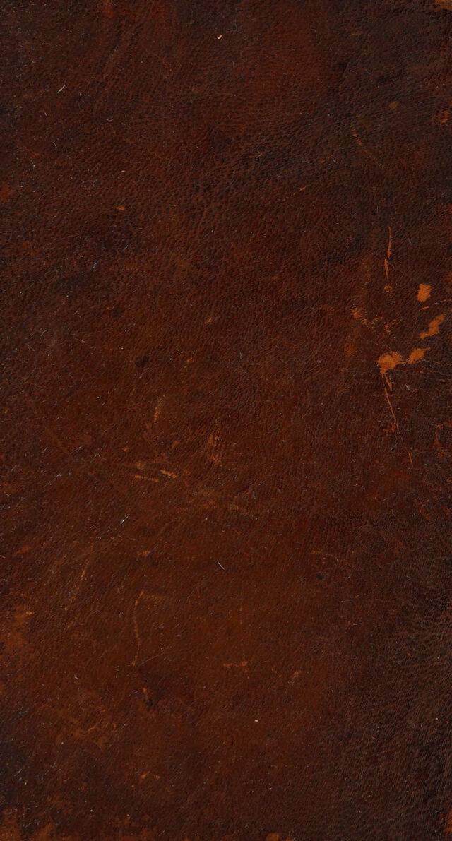 No text description is available for this image