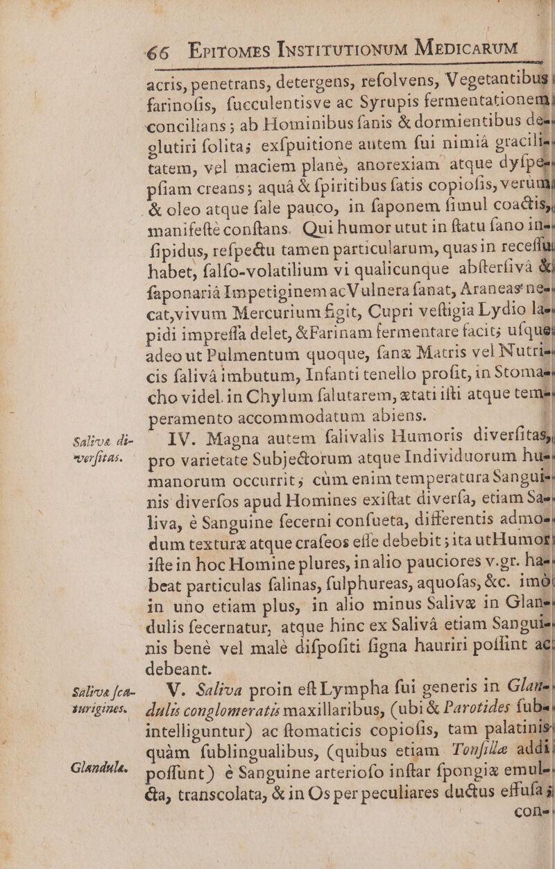 Salis di- vverfitas. Salva fca- 3urigines. Glandula. €6 Errowzs IusrirurioxuM MrpicaRuM acris, penetrans, detergens, refolvens, Vegetantibus| farinofis, fucculentisve ac Syrupis fermentationermj concilians ; ab Hominibus fanis &amp; dormientibus desi olutiri folita; exfpuitione autem fui nimiá gracilis, tatem, vel maciem plane, anorexiam atque dyfpes píiam creans; aquá &amp; fpiritibus fatis copiofis, verum manifefté conftans. Qui humor utut in ftatu fano ide, fipidus, refpe&amp;u tamen particularum, quasin receífui habet, falfo-volatilium vi qualicunque abfterfivà &amp;l faponarià Impetiginem acV uulnera fanat, Araneas nee, cat,vivum Mercurium figit, Cupri veftigia Lydio lae pidi impreffa delet, &amp;Farinam fermentare facit; ufquei adeo ut Pulmentum quoque, fang Matris vel Nutrie cis falivàimbutum, Infanti tenello profit, in Stomaet cho videl.in Chylum falutarem, «tati illi atque temel peramento accommodatum abiens. 1 IV. Magna autem falivalis Humoris diverfitasy, pro varietate Subje&amp;orum atque Individuorum hue manorum occurrit; cüm enim temperatura Sangue! nis diveríos apud Homines exiftat divería, etiam Sae liva, e Sanguine fecerni confueta, differentis admo»! dum textura atque crafeos effe debebit ; ita utHumot, iflein hoc Homine plures, inalio pauciores v.gr. hae: beat particulas falinas, fulphureas, aquofas, &amp;c. imól in uno etiam plus, in alio minus Salivg in oua dulis fecernatur, atque hinc ex Salivá etiam Sanguis nis bené vel malé difpofiti figna hauriri poffint ac debeant. |. A ü 4 V. Saliva proin eft Lympha fui generis in Glaue dulis conglomeratis axillaribus, (ubi &amp; Parotides fub. intelliguntur) ac ftomaticis copiofíis, tam palatinis. quàm fublingualibus, (quibus etiam Teufize addi poffunt) e Sanguine arteriofo inftar fpongi&amp; emule» &amp;a, transcolata, &amp; in Os per peculiares ductus effufa Cone: