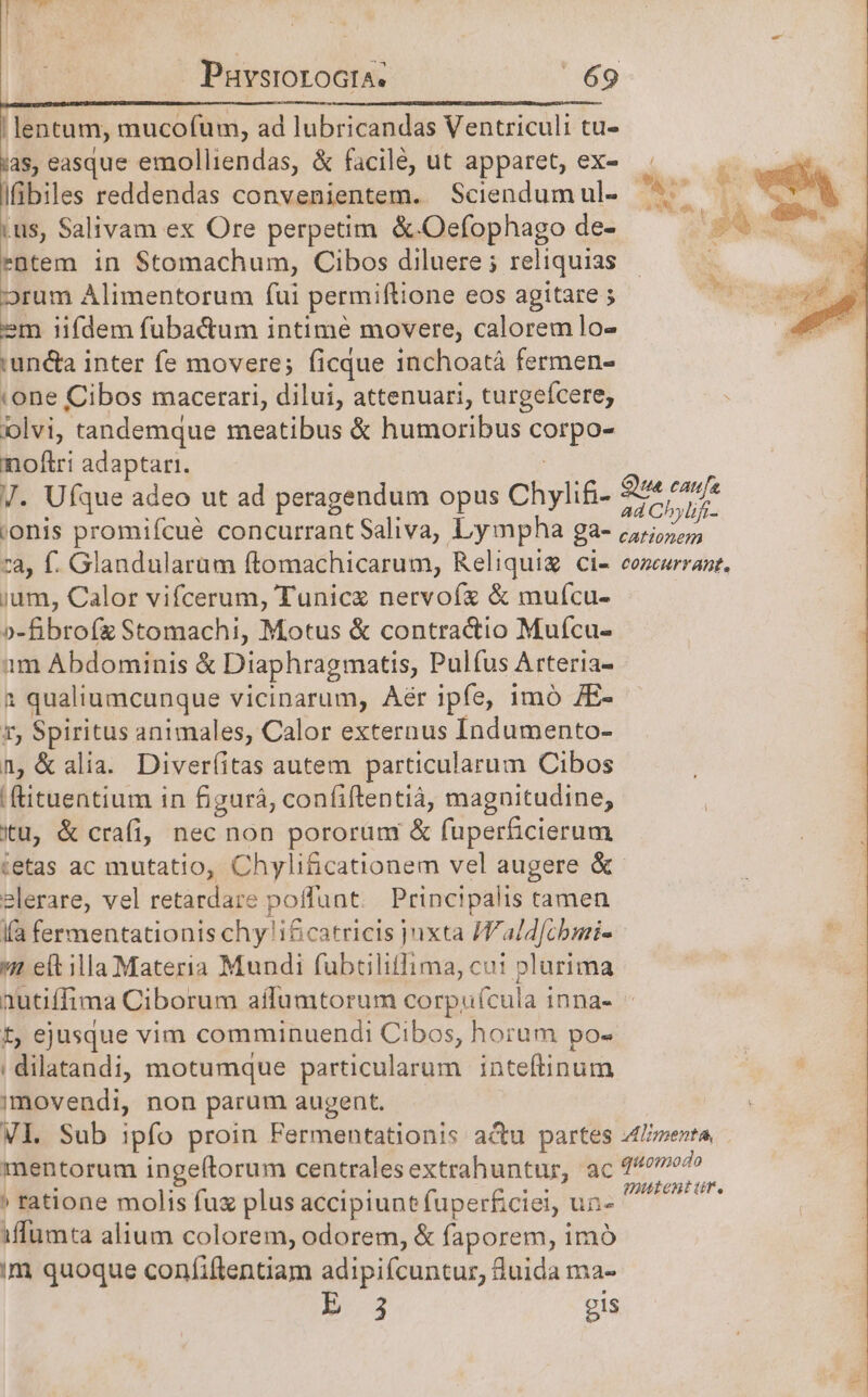 p lentum, iuc. ad lubricandas Ventriculi tu- ias, easque emolliendas, &amp; facilé, ut apparet, ex-  D Ifibiles reddendas convenientem. Sciendum ul- ANT.  v9 ius, Salivam ex Ore perpetim &amp;.Oefophago de- e entem in S$tomachum, Cibos diluere; reliquias | 4 d orum Alimentorum (ui permiftione eos agitare ; MISI UP em iifdem fubactum intime movere, calorem lo- r 'undta i inter fe movere; ficque inchoatá fermen- one Cibos macerari, dilui, attenuari, turgefcere; olvi, tandemque meatibus &amp; humoribus dion noftri adaptar. J. Ufque adeo ut ad peragendum opus Chyli£- Ma ;onis promiícué concurrant Saliva, Lympha ga- RESIRGERE za, f. Glandularum ftomachicarum, Reliqui ci- concurrant, jum, Calor vifcerum, Tunica nervofz &amp; mufícu- o-fibrofz Stomachi, Motus &amp; contractio Mufcu- am Abdominis &amp; Diaphragmatis, Pulfus Arteria- 1 qualiumcunque vicinarum, Aér ipfe, imó 7E- 1, Spiritus animales, Calor externus Indumento- n &amp; alia. Diver(itas autem particularum Cibos |ftituentium in figurá, confiftentiá, magnitudine, Xu, &amp; crafi, nec non pororum &amp; fuperficierum ietas ac mutatio, Chylificationem vel augere &amp; slerare, vel retardare pol ffunt Principalis tamen (à fermentationis chy ificatricis juxta Ialdfibiri- wt eft illa Materia Mundi fubcilitlima, cu: plurima autiffima Ciborum affumtorum corpuícula inna- t, ejusque vim comminuendi Cibos, horum po- | dilatandi, motumque particularum inteftinum imovendi, non parum augent. Vl. Sub ipfo proin Fermentationis a&amp;u partes Alerta, mentorum ingeftorum centralesextrahuntur, ac E » ratione molis fuz plus accipiunt fuperficiei, un- a ona iflumta alium colorem, odorem, &amp; faporem, imó im quoque confiftentiam adipiícuntur, &amp;uida ma- E .3 gis