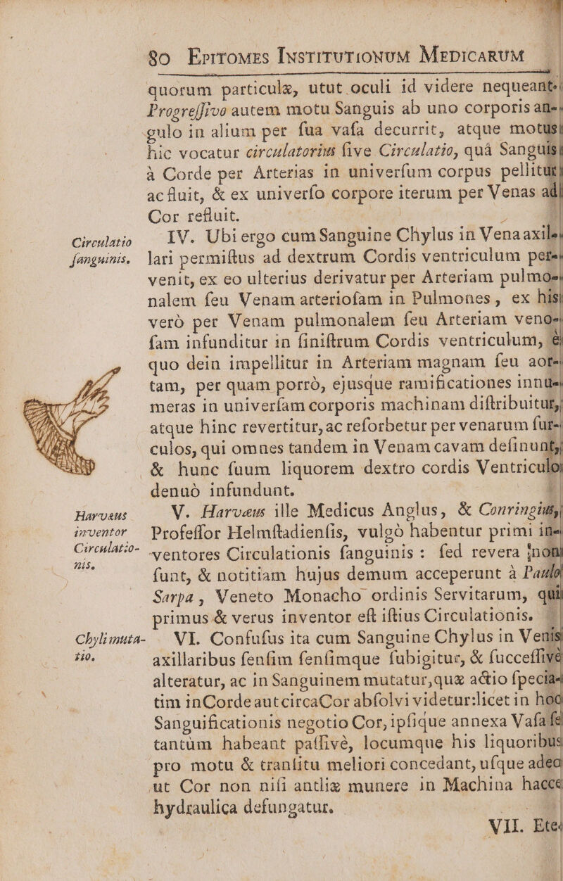 quorum particule, utut oculi id videre nequeante| . I Proereffrvo autem motu Sanguis ab uno corporis att» gulo in alium per fua vafa decurrit, atque motusi hic vocatur circulatoriut five. Circulatio, quá Sanguls à Corde per. Arterias in univerfum corpus pellitüt ac fluit, &amp; ex univerfo corpore iterum per Venas i Cor refluit. | d * Hi Cireulatio — iV. Ubiergo cumSanguine Chylus in Vena axile| fanguinis. lari permiftus ad dextrum Cordis ventriculum pere! venit, ex eo ulterius derivatur per Arteriam pulmoe| nalem feu Venam arteriofam in Pulmones, ex his! verb per Venam pulmonalem íeu Arteriam venoe fam infunditur in finiftrum Cordis ventriculum, € quo dein impellitur in Arteriam magnam feu aote tam, per quam porró, ejusque ramificationes inl meras in univerfam corporis machinam diftribuitur atque hinc revertitur, ac reforbetur per venarum fur-: culos, qui omnes tandem in Venam cavam definunf, .&amp; hunc fuum liquorem dextro cordis Ventriculoi denuo infundunt. es K| Harvaus V. Harvew ile Medicus Anglus, &amp; Conringiut irventor — Profeffor Helmítadienfis, vulgó habentur primi ine pq ur ventores Circulationis fanguinis: fed revera [ni funt, &amp; notitiam hujus demum acceperunt à Paulo Sarpa , Veneto Monacho ordinis Servitarum, quii rimus. &amp; verus inventor eft iftius Circulationits,. | Chjlimuta- —. NI. Confufus ita cum Sanguine Chylus in Veis ns axillaribus fenfim fenfimque fubigitur, &amp; fucceffiyé alteratur, ac in Sanguinem mutatur,qua adio fpecia4 tim inCordeautcircaCor abfolvi videtur:licet in hod Sanguificationis negotio Cor, ipfique annexa Vafafe tantam habeant paffivé, locumque his liquoribus pro motu &amp; tranfitu meliori concedant, ufque ade | ut Cor non niíi antliz munere 1n Machina wi hydraulica defungatur. E VI. Etei l i [ 3