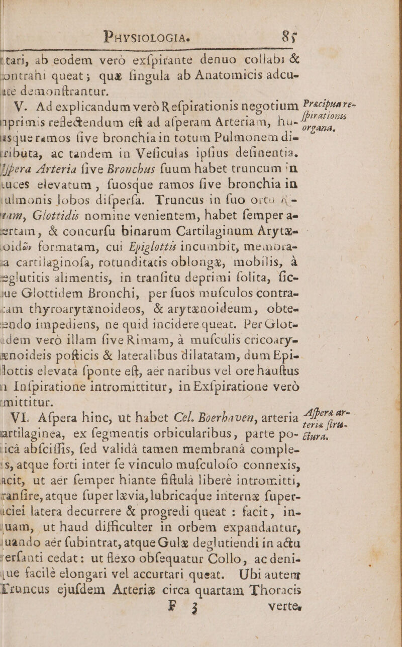 IER ovo ue A DL Le n tta ab eodem veró exfpirante denuo collabi &amp; ;ntrahi queat; qu fingula ab Anatomicis adcu- &amp;t€ demon(trantur. V. Adexplicandum veró R efpirationis negotium Precguare- pn . (0 fpirationis nprimis rede&amp;endum eft ad a(peram Arteriam, hu- CHR asque ramos (ive bronchiain totum Pulmonem di- iributa, ac tandem in Veficulas ipfius de(inentia. Zjpera Arteria live Brouchus (uum habet truncum;n iuces elevatum , fuosque ramos five bronchia in .ulmonis lobos difperfa. Truncus in fuo orto 4 - am, Glottids nomine venientem, habet femper a- ertam, &amp; concurfu binarum Cartilaginum Aryte - )oidé» formatam, cui £piglottis incuinbit, meinbra- ià cartilapinofa, rotunditatis oblongz, mobilis, à eglutitis alimentis, in tranfitu deprimi folita, fic- iue Glottidem Bronchi, per fuos mufculos contra- zam thyroarytenoideos, &amp; aryt&amp;noideum, obte- endo impediens, ne quid incidere queat. Per Olot- idem vero illam five Rimam, à mufculis cricoary- xnotideis pofticis &amp; lateralibus dilatatam, dum Epi- lottis elevata fponte eft, aer naribus vel ore hauftus n Inípiratione intromittitur, 1n Exípiratione veró mittitur. | VI. Afpera hinc, ut habet Ce. Beerbaven, arteria n rod í artülaginea, ex fegmentis orbicularibus, parte po- gy, cà abfcitfis, (ed validà tamen membraná comple- s, atque forti intet fe vinculo mufculofo connexis, acit, ut aér femper hiante fiftulà libere intromiitti, ranfire, atque fuper Izvia, lubricaque interna fuper- iciei latera decurrere &amp; progredi queat : facit, in- juam, ut haud difficulter in orbem expanudantur, juando aér fabintrat, atque Gul deglutiendi in a&amp;u rerfanti cedat: ut flexo obfequatur Collo, ac deni- à iue facile elongari vel accurtari queat. Ubi autenr Eroncus ejufdem Arterig circa quartam Thoracis