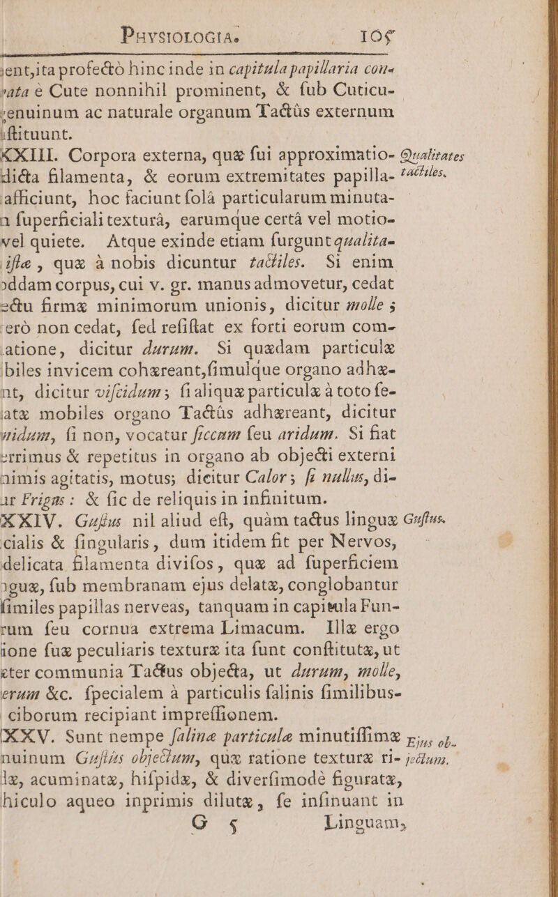 Puvsrorocta. E rot | jent;ita profe&amp;ó hinc inde in capitzla papillaria cou« ata € Cute nonnihil prominent, &amp; fub Cuticu- ;enuinum ac naturale organum Tadtás externum | ;ftituunt. XXIII. Corpora externa, qug fui approximatio- Gralizares di&amp;a filamenta, &amp; eorum extremitates papilla- /4es. afficiunt, hoc faciunt folà particularum minuta- 1 fuperficialitexturà, earumque certáà vel motio- vel quiete. Atque exinde etiam furgunt qzalita- ifle, qu&amp; à nobis dicuntur zadiles. Si enim xddam corpus, cui v. gr. manus ad movetur, cedat sé&amp;u firm minimorum unionis, dicitur zzo/le 5 'eró non cedat, fed refiflat ex forti eorum com- atione, dicitur dzrzm. Si quxdam particulx biles invicem cohzreant,fimulque organo adha- nt, dicitur vifcidum ; fi aliqu particul à toto fe- at mobiles organo Ta&amp;ás adhgreant, dicitur widum, (i non, vocatur frccam feu aridum. Si fiat -rrimus &amp; repetitus in organo ab objecti externi aimis agitatis, motus; dieitur Calor; fg nullis, di- ar Frigms : &amp; (ic de reliquisin infinitum. XXIV. Gzfuwus nil aliud eft, quàm ta&amp;us lingug Gzfiws. cialis &amp; fingularis, dum itidem fit per Nervos, — - delicata. filamenta divifos, qu ad fuperficiem 1gug, fub membranam ejus delatz, conglobantur fimiles papillas nerveas, tanquam in capieula Pun- rum feu cornua extrema Limacum. lll ergo ione fug peculiaris texturz ita funt conftitute, ut cter communia Tactus objecta, ut durum, molle, erui &amp;c. fpecialem à particulis falinis fimilibus- ciborum recipiant impreífionem. XXV. Sunt nempe /aliue particule minutiffimz p, jj. nuinum Gzfizs objecium, qua ratione textur ri- jzum. iz, acuminatz, hifpidz, &amp; diverfimodé figuratz, hiculo aqueo inprimis dilutg, fe infinuant in Qr 74 Linguam,