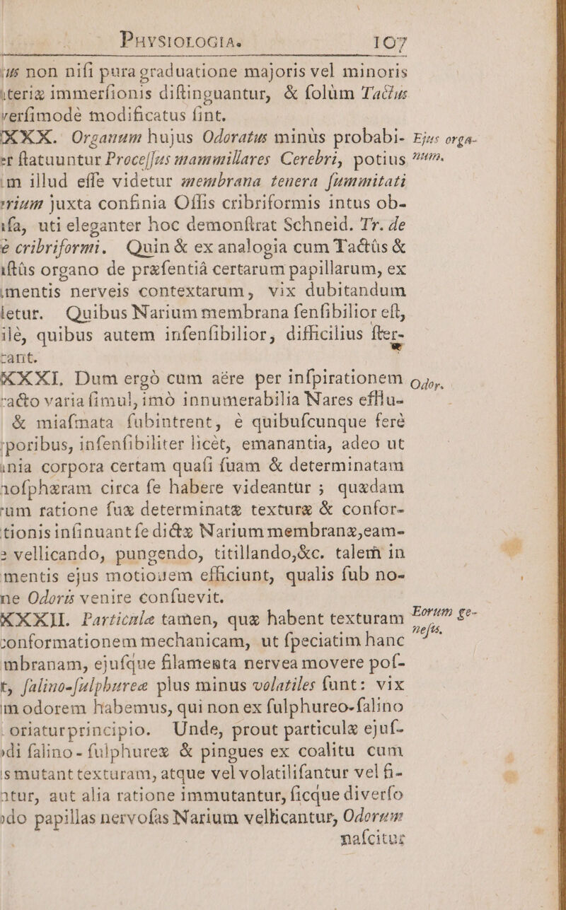 i non nifi pura graduatione majoris vel minoris verfimode modificatus fint. XXX. Organum hujus Odoratus minus probabi- *r flatuuntur Proce[[us maminillares Cerebri, potius .m illud effe videtur zeembrana fenera [ummitati ium juxta confinia Offis cribriformis intus ob- ifa, uti eleganter hoc demonftrat Schneid. Tr. e e cribriformi. Quin &amp; ex analogia cum Tactüs &amp; iftüs organo de pr&amp;fentiá certarum papillarum, ex (mentis nerveis contextarum, vix dubitandum letur. Quibus Narium membrana fenfibilior eft, ilé quibus autem infenfibilior, difficilius fter- rant, ; XXXI, Dum ergó cum aére per infpirationem a&amp;o varia fimul,imó innumerabilia Nares efllu- &amp; miafmata fuübintrent, e quibufcunque feré ;poribus, infenfibiliter licét, emanantia, adeo ut inia corpora certam quaíi fuam &amp; determinatam 1ofph&amp;ram circa fe habere videantur ; quxdam 'um ratione fuz determinat texturg &amp; confor- tionisinfinuantfe dictz Narium membranz;eam- » vellicando, pungendo, titillando,&amp;c. talem in mentis ejus motiouem efficiunt, qualis fub no- ne Odoers venire confuevit. XXX]L Particle tamen, qu&amp; habent texturam :onformationem mechanicam, ut fpeciatim hanc mbranam, ejufque filamegta nervea movere pof- t, falino-[ulpburee plus minus volatiles fant: vix m odorem habemus, qui non ex fulphureo-falino .oriaturprincipio. Unde, prout particula ejuf- :di falino- fulphure &amp; pingues ex coalitu cum ss mutant texturam, atque vel volatilifantur vel fi- atur, aut alia ratione immutantur, ficque diverfo :do papillas nervofas Narium vellicantur, Odorrim | naícituz Ejts orga- nn. Ogor.