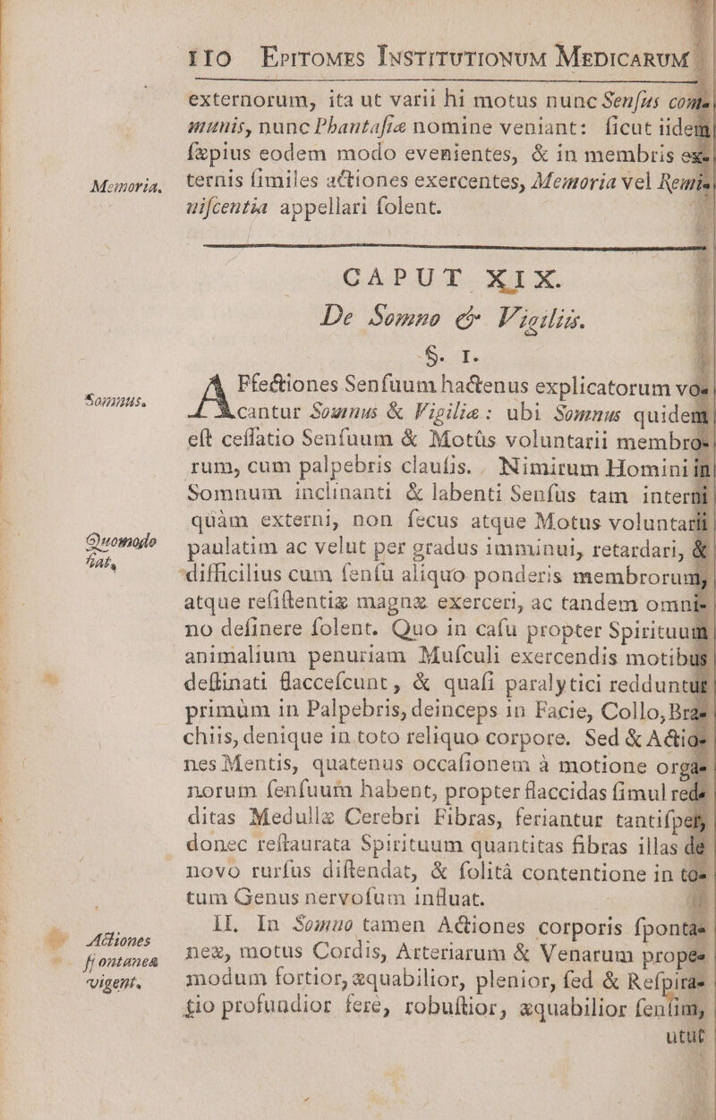 Memoria. 355077222145. a iconic ume ci ^. eni is, Om dece ai b d e El i res Guomogo A a c üliones (o0 ffontanea Vigente externorum, ita ut varii hi motus nunc Sen[us conte ununis, nunc Pbantafis nomine veniant: ficut iidem fzpius eodem modo evenientes, &amp; in membris exe ternis fimiles actiones exercentes, Meoria vel Remis uifcentia appellari folent. o / CAPUT XIX. De Seems c» F. Zeilirs. Ss. 1 JA Senfuum hactenus explicatorum voe cantur Sous &amp; Figilie: ubi Somnus quidem eft ceffatio Senfuum &amp; Motüs voluntarii membroe rum, cum palpebris claufis. . Nimirum Homini i Somnum inclinanti &amp; labenti Senfus tam interüi quàm externi, non fecus atque Motus voluntarii paulatim ac velut per gradus imminui, retardari, &amp;| atque refiftentiz magna exerceri, ac tandem omn 3 no definere folent. Quo in cafu propter Spirituui animalium penuriam Mufculi exercendis motibus. de(linati Bacceícunt, &amp; quafi paralytici redduntu£ primüm in Palpebris, deinceps 1n Facie, Collo, Bras chiis, denique in toto reliquo corpore. Sed &amp; Adige, nesMentis, quatenus occafionem à motione Orga norum fenfuum habent, propter flaccidas fimul rede ditas Medulla Cerebri Fibras, feriantur tantifpel. donec reftaurata Spirituum quantitas fibras illas novo rurfus diftendat, &amp; folità contentione in € tum Genus nervofum intluat. Hm lL Inu 3omuo tamen Actiones corporis fpontae nez, motus Cordis, Arteriarum &amp; Venarum propee modum fortior, 2quabilior, plenior, fed &amp; Refpiras gio profundior fer, robuüior, aquabilior (enl utut d EE