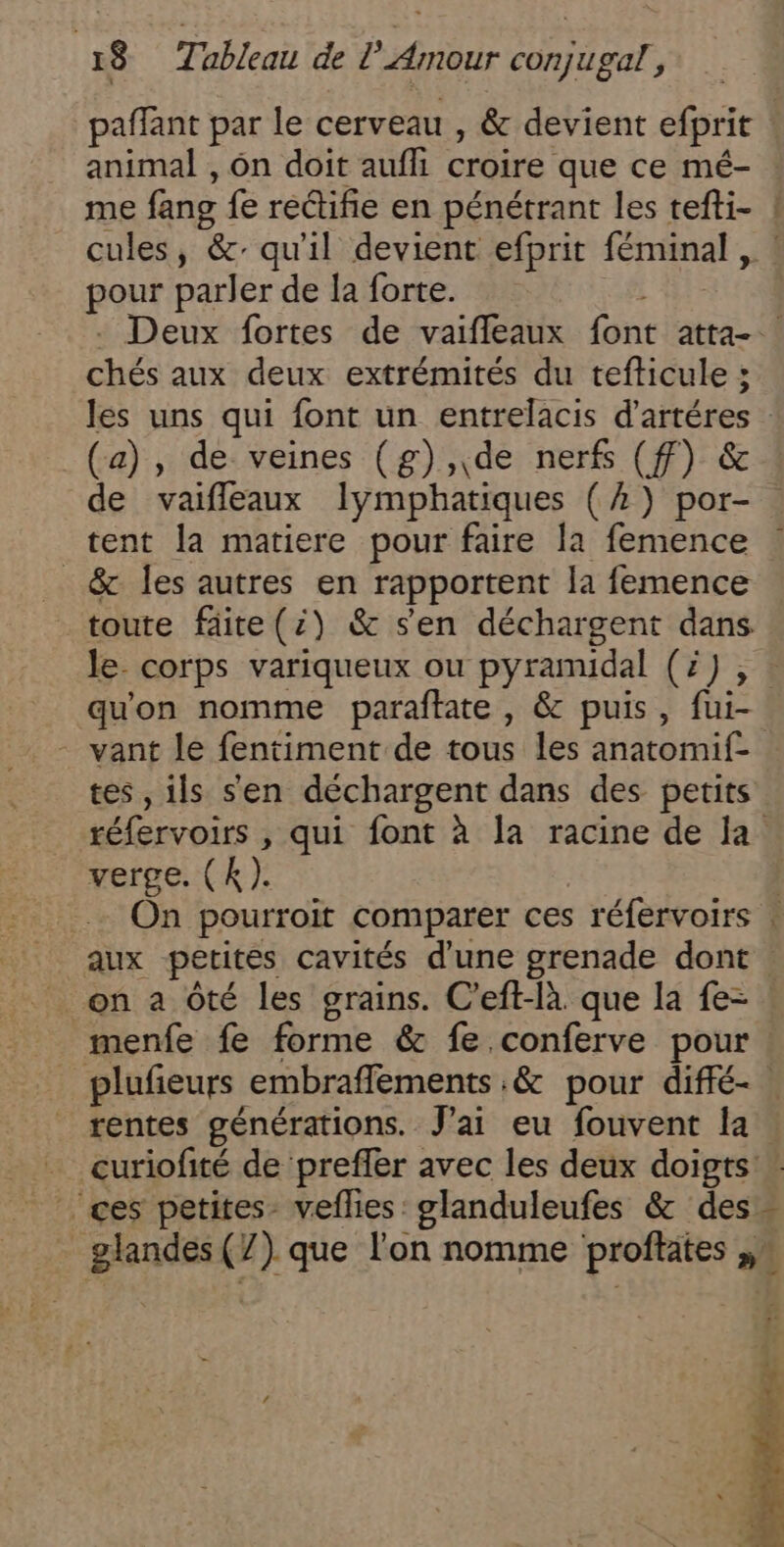 paffant par le cerveau , &amp; devient efprit animal , ôn doit aufli croire que ce mé- me fans fe rectifie en pénétrant les tefti- | cules, &amp;: qu'il devient efprit féminal , ! pour parler de la forte. L'E . Deux fortes de vaifleaux font atta- chés aux deux extrémités du tefticule ; les uns qui font un entrelacis d’artéres : (a), de veines (g),de nerfs (ff) &amp; de vaifleaux lymphatiques (2) por- . tent la matiere pour faire la femence _&amp; les autres en rapportent la femence toute fäite(:) &amp; sen déchargent dans le. corps variqueux ou pyramidal (ë) ,. qu'on nomme paraftate , &amp; puis, fui- vant le fentiment de tous les anatomif- tes, ils s'en déchargent dans des petits réfervoirs , qui font à la racine de la. verge. (k). | On pourroit comparer ces réfervoirs | aux petites cavités d’une grenade dont : _ on a Ôôté les grains. C'eft-là que la fe- menfe fe forme &amp; fe .conferve pour plufeurs embraffements :&amp; pour diffé- rentes générations. J'ai eu fouvent la curiofité de preffer avec les deux doigts _glandes(7) que l'on nomme proftates ,,