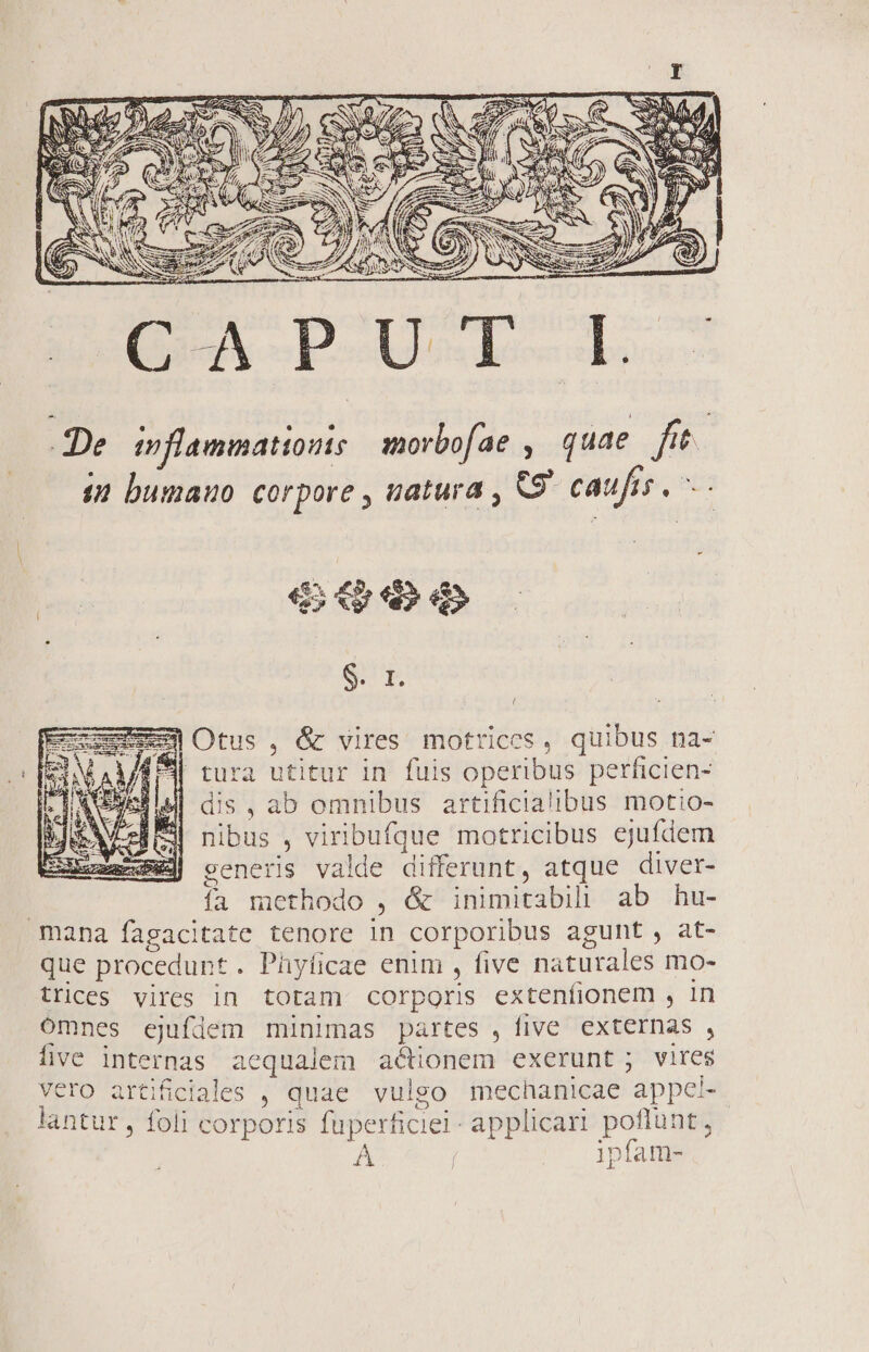 De inflammation | morbofae , quae fit. $2 bumauo corpore , uatura , eo caufis, jet «45 Xy fe» 4» S E Exc Otus , &amp; vires motrices, quibus na- tura utitur in fuis operibus perficien- dis , ab omnibus artificial'ibus motio- nibus , viribufque motricibus ej jufdem generis valde differunt, atque diver- fa methodo mede iBlznieatsi ab hu- mana fagacitate tenore in corporibus agunt , at- que procedunt . Phyficae enim , five naturales mo- trices vires in totam corporis extenfionem , in ómnes ejufdem minimas partes ,Ííive externas , five internas aequalem actionem exerunt; vires vero artificiales , quae vulgo mechanicae 'appel- lantur, foli corporis faperficiei - applicari poflunt, | Á | ipfam- (