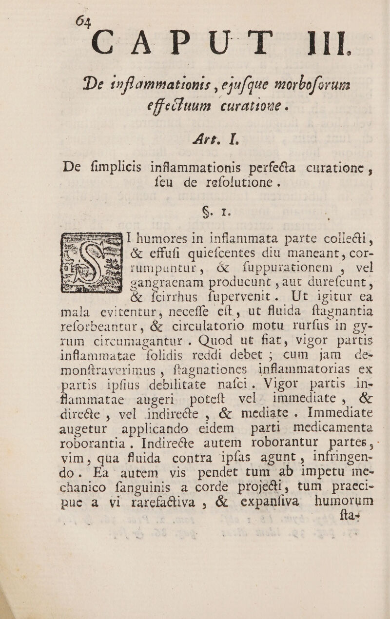 De tnflammationts , ejufque morboforum effecfuum. curatioue . Zhrt, I. De fimplicis inflammationis perfe&amp;a curatione , Íícu de refolutione. S. f. Exc] humores in infiammata parte collecti, wed (&amp; effufi quiefcentes diu maneant, cor- 246| rumpuntur, d iuppurationem , vel 4 cangraenam producunt , aut durefcunt, &amp; Íícirrhus fupervenit. Ut igitur ea mala evitentur, neceffe eít, ut fluida. ftagnantia reforbeantur, &amp; circulatorio motu rurfus in gy- rum circumagantur . Quod ut fiat, vigor partis inflaiumatae íolidis reddi debet ; cum jam de- monftraverimus , ftagnationes inflammatorias ex partis ipfius debilitate nafci. Vigor partis in- flammatae augeri poteft vcl immediate , &amp; direde , vel indirecte , &amp; mediate . Immediate augetur applicando eidem parti medicamenta roborantia. Indirecte autem roborantur partes, vim, qua fluida contra ipfas agunt, infringen- do. Ea autem vis pendet tum ab impetu me- chanico fanguinis a corde proje&amp;i, tum praeci- pue a vi rarefadiva , &amp; expaníiva anat