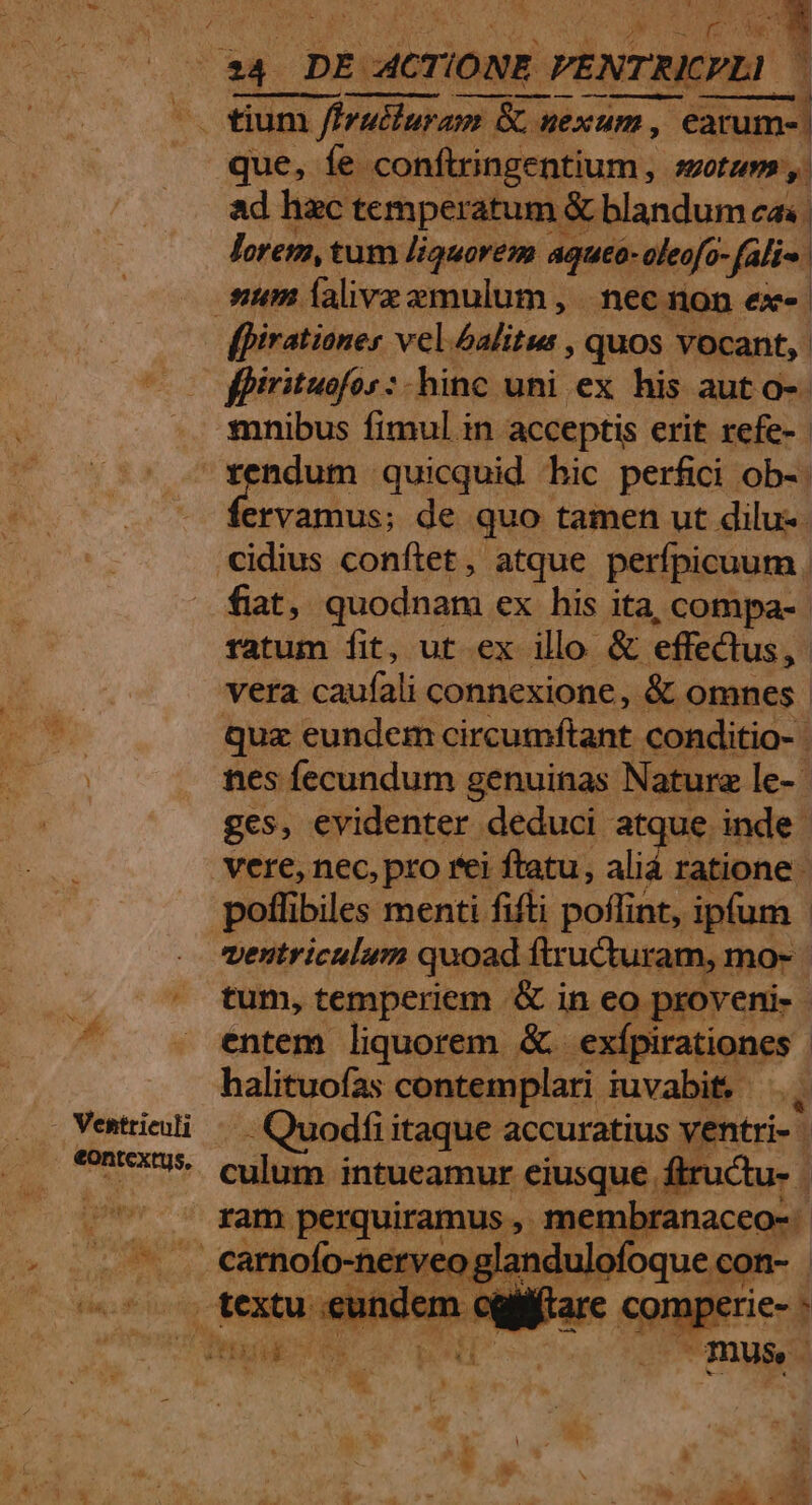 L que, fe conftringentium , sotums,. ad hec temperatum &amp; blandum cas. lorem, tum liquorem aqueo- oleofo- ali. fpirationes vel óalitus , quos vocant, : fpirituofos : hinc uni ex his aut o-- mnibus fimul in acceptis erit refe-- ». €ontextus, ervamus; de quo tamen ut dilu- fiat, quodnam ex his ita, compa- | ratum fit, ut ex illo &amp; effectus 1 vera ont connexione, &amp; omnes qua eundem circumftant conditio- nes fecundum genuinas Naturz le- ges, evidenter deduci atque inde. ventriculum quoad. fir 'ucturam, mo- tum, temperiem .&amp; in eo proveni- - entem liquorem &amp;. exípiratione: halituofas contemplari iuvabit, i Mirta ca accuratius ventri-. ructu- | » 1