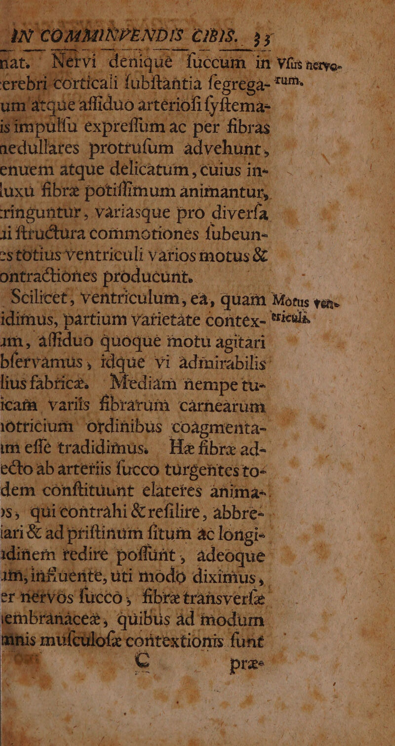 1 ds irapa varios motus SEC tractiones producunt, - uud Scilicet, ' ed ea, quam Motus vehe idimus, partium vatietáte Contéx- icula. | m, affiduo € quoque fnotuagitari ^ — bfervamt is, idque vi admirabilis liusfabrice, Mediam nempetu- iaa. varits : fibrarum càrnearüm —. — it 1 ordinibus s coagmenta- ui as ü m effe tradidimus. | í Ha fibre ad- 2 e sdotba 'ettis : fucco turgehites 3o, dem conftituunt elatetes anima- ^ $$'i e ARN àhi &amp;refilire, abbre- Á iIafi 1 n : gs. : T D  xit La dH i E es W