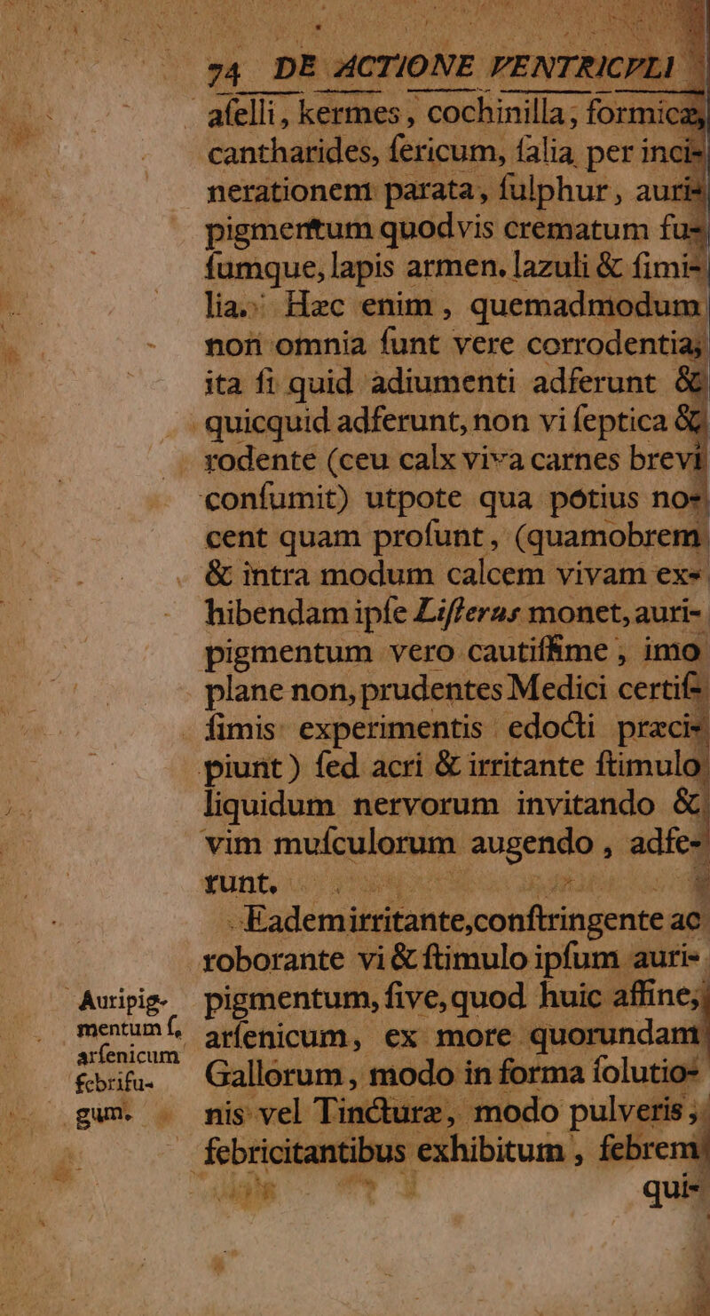 ! afclii; | dini ; cochinilla; formi Ca cantharides, fericum, falia per incis, nerationeni parata, fulphur, at auris pigmerttum quodvis crematum fuz fumque, lapis armen. lazuli &amp; (imis lia.; Hzc enim , quemadmodum. - moin omnia funt vere corrodentia; ita fi quid adiumenti adferunt &amp; . . quicquid adferunt, non vi feptica &amp;&amp; - modente (ceu calx viva carnes brevi confumit) utpote qua potius noe. cent quam profunt , (quamobrem. &amp; intra modum calcem vivam ex« hibendam ipfe Lifferas monet, auri-. pigmentum vero cautif&amp;me , imo. plane non, prudentes Medici certifs. - fimis: experimentis. edodii pracis piunt) fed acri &amp; irritante ftimulo: liquidum nervorum invitando : vim mufculorum. Vip a. -€— fUünt, 32135 VSMPTADUI Lngd imd » roborante vi &amp; ftimulo ipfum auri-. arfenicum. &amp;bi&amp;. Gallorum, modo in forma folutio* gw . mis vel Tin&amp;ure, modo pulveris, — febricitantibus exhibitum , febrem qui- T