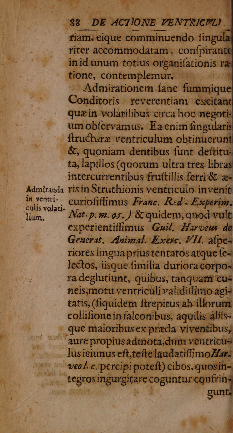 Admitanda jn ventri- íam.eique wehren gula titer beistimsri ova confj oirantt| ne, phi quMrs d - Admirationem fane fummique Qonditoris i reverentiam - dd nt quzin volatilibus circa hoc megoti« umobíervamus. Eaenim fingularis - ftructurz ventriculum obtisastudi ta, lapillos (quorum ultra tres libras intercurrentibus fruftillis ferri &amp; a- risinStruthionis ventriculo invenit curiofiffimus Zranc. Red: - Experin. Nat. p.m. os. ) &amp; quidem, quod vult expetientiffimus Gai. Harveus de Geuerat. Adnisal. Exerc. FH. apes riores lingua priustentato s atque fe- ctos, iisque fimilia dutior acorpo« ra adeglutiunt, quibus, tanquam cus eis (quidem Rrepisucabali 1o agi-