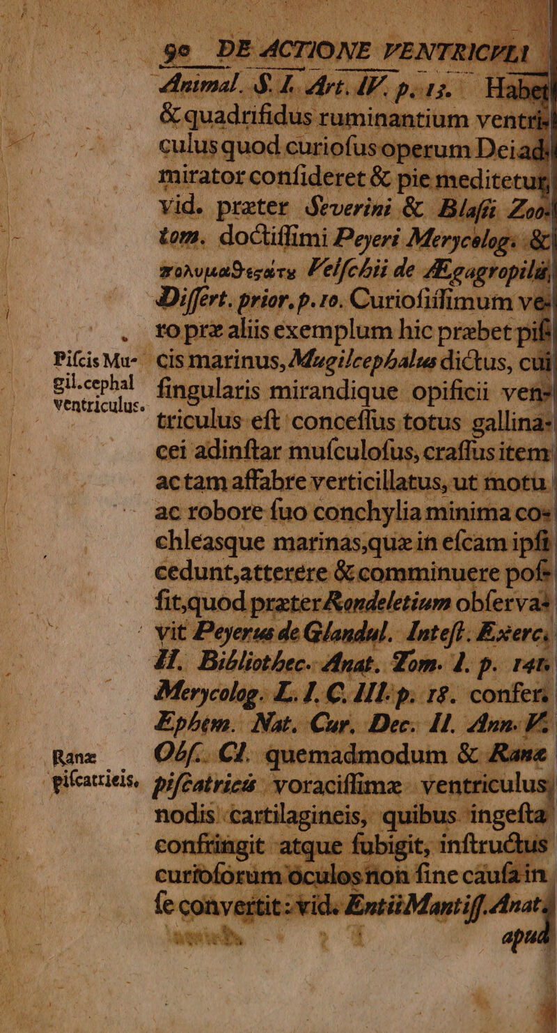 Am Tor A RARE P M iu x PES s 1 zehn esdru Felfchii de dgaghapi A, Differt. prior. p. 1o. Curiotitlimum . e pr aliis exemplum hic praebet pif PifisMu- cis: narinus, Mugilcephalus dictus, c lü gil.cephal fingul ris mirandique opificii v ventriculus. i : aris mirandi que pi uu ac robore fao conchylia minima co | Yo Tom afe Íc ami Moyig: L1 1 Hg: confe Epbem. Nat. Cur. Dec. Il. Am. Gin quemadmodum &amp; Rave | Rhe