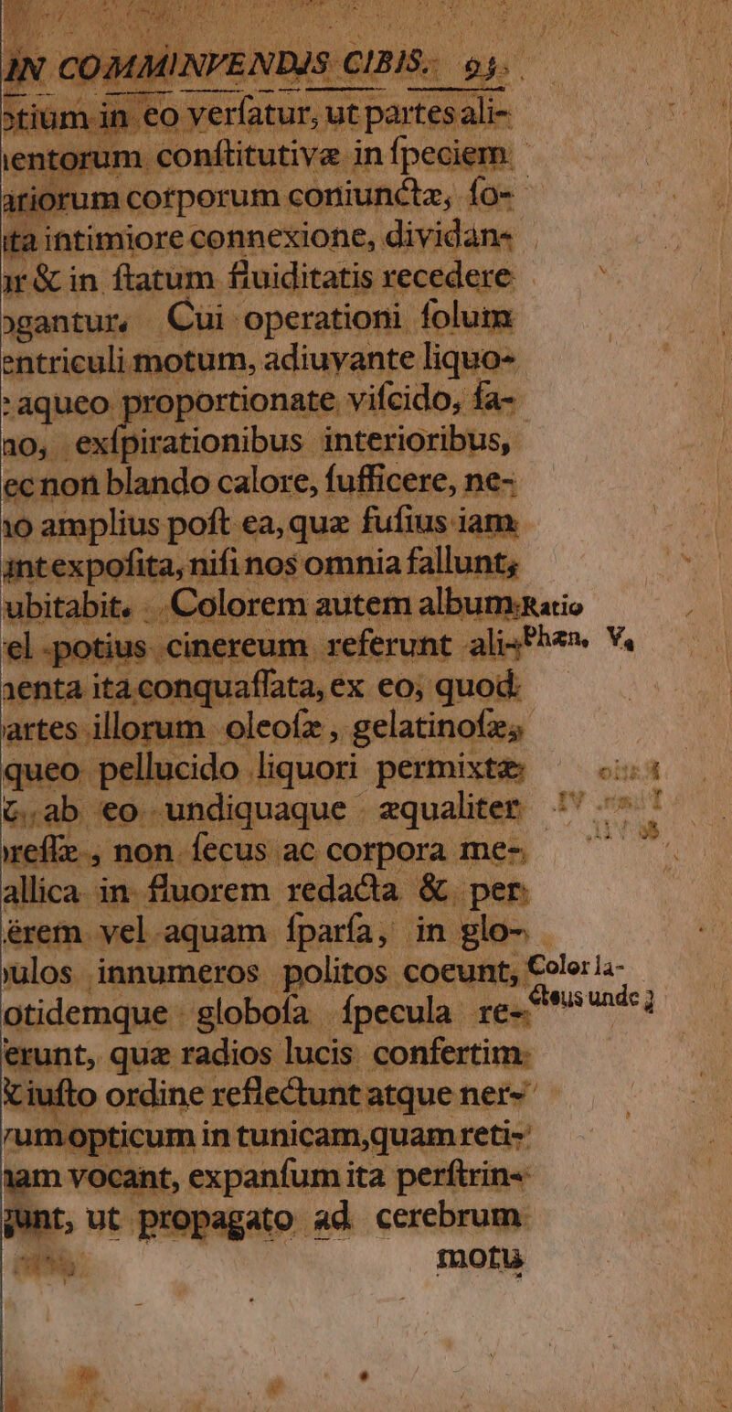 itorum v brise jn (peciem: m corporum coniuncta, ío- gantur. - Cui. operationi folum ntriculi motum, adiuyante liquo- . 'aqueo j pror oportionate. vifcido, fa-- n0, ex [pirationibus. interioribus, ec nori blando calore, fufficere, ne- e —€— poft ea,que- fufius iam. t: Meiner nnia fallunt; e nq tn Ap €o; quod. i i im oleofz, gelatinofas queo. rer eri liquori permixta: G.ab eo undiquaque . qualiter refte, non. fecus ac corpora me allica. in. fluorem redacta &amp;. per: érem - vel. aquam Íparía, in glo- 7€ rd $e Jd IN emit otidemque : globofa . Ípecula re-^ erunt, quz radios lucis. confertim: mintunicam,quam reti- dee propagato. ad cerebrum. eut motu