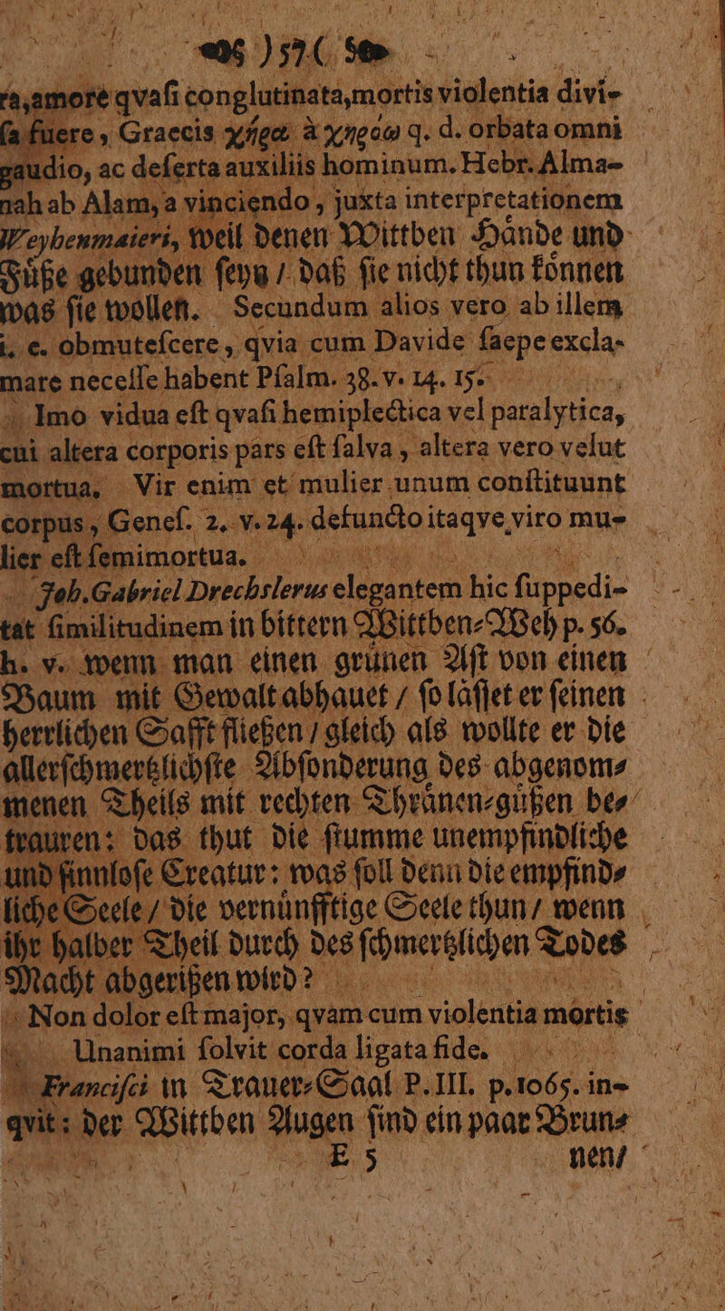 EON 3074 1 A » , 2 WW. T. hore praet tonto mie violentia divi- c u id m ac deferta al iliis: hom inum. Hebr. Alma- nah ab Alam, 2: 1 endo, : juita inter pretationera Weybenmaier eil bene YOittbeu baube. unb Supe gebunben fepu 7. af fie nidbt tbun fónnen ibas fie. tvolleft. - Secundum alios vero ab illem i, €. obmutefcere , qvia cum Davide faepe excla- mare necelfe habent PíaIm. 38. v. 14. 15-- al Imo vidua eft qvafi hemiplectica vel paralytica, cui. altera corporis pars eft falva , altera vero velut rtua, Vir enim et mulier. unum conítituunt | corpus ; Genef. 39» e defundoi Meque viro mue lier. eft femimortua. - d ; | geb.Gabricl. VERUM elio hic fupedi- ; tat fimilitudinem in bittern c dBittbenzXBel p.sós h. v. toenn man einen. grünen. Sft oon einen *5aum mit Gealtabbauet / folàffet er feinen - berrlicben Goafft flieben 7 gleich al8 voollte er Die - allerfcomeréticbfte. Sibfonberung bes: abgenomo menen beil8 mit vecbten. Gbranenzguben bee t ftare: Das. tbut Die fiumme unempfinbfi-be | cta e €reatur: voa foll Denu DieempfinDe — lic fe Coeele / vie pernünfftige Gocee tbun/ t wenn . ibr f atber- S beil Dutd d fbmerelicpen Robe | Sn ibt. abgeripen ito? oes | T Non dolor eft major, qvam cum violente mórti 4 NM -Unanimi folvit cordaligatafide. ^. ^^. CuEanofá in &amp;rauerCaol P. III p.1o6s. in» qnn ud Bittben bns MS dnpaattDrune — — MAR, ne ^X EN
