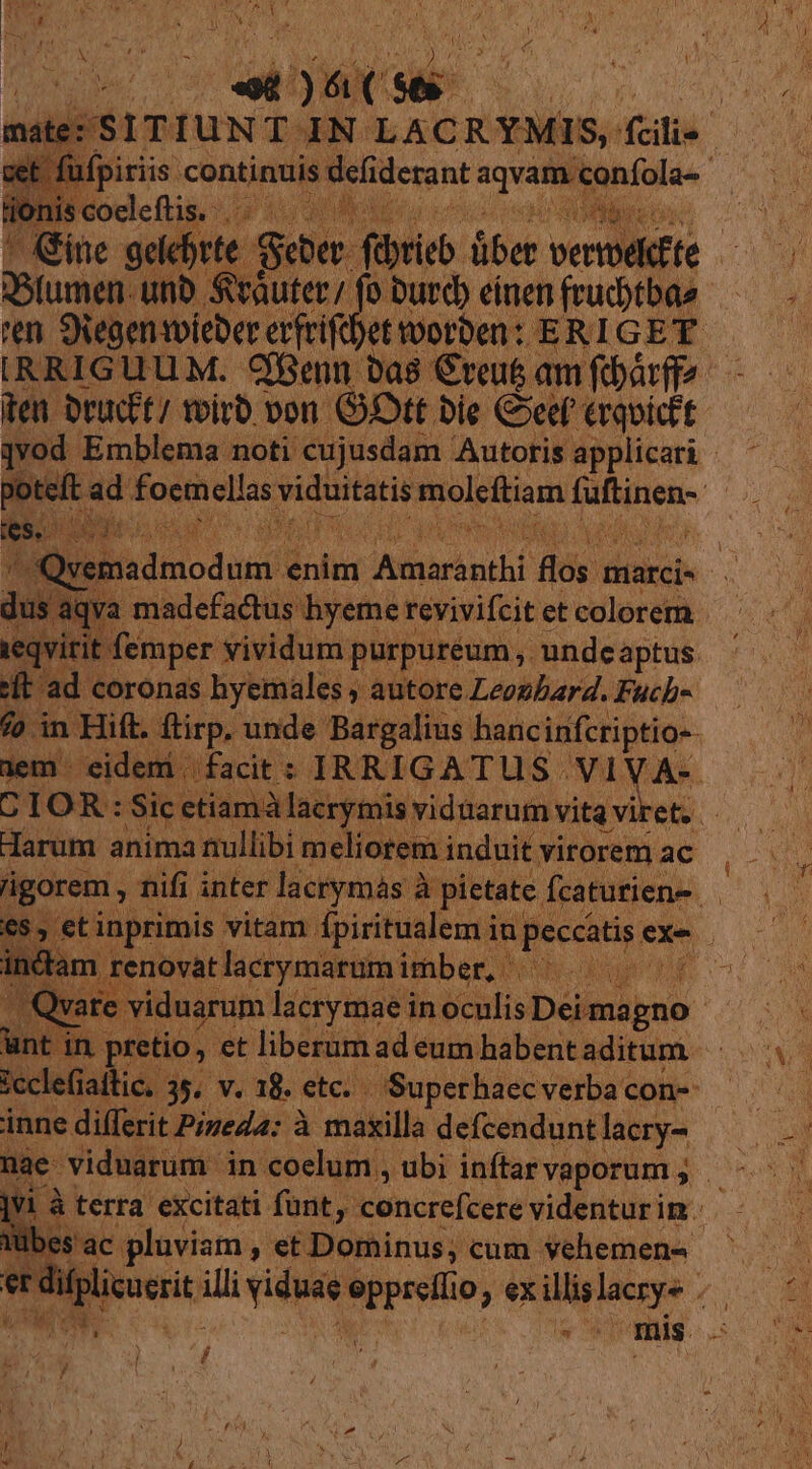 NE / NE 1 ael 1 2M u K ] ! 4 Ls : Td We M t jac se - ^ METTE lumen. unb 5 e D Ros. cinen, virudrbae J2U Siegentoieber etfriftf en: ! : baa idi yüyoeuk; jindé apti :[t ad coronas hyemales ; autore Leogbard. Fuch- fo in Hift. ftirp. unde Bargalius hancinfcriptio- 1em - | eideni |. facit : IRRIGATUS. VIVA- | Ka LUN ::Sicetiam. ic: darum anima mullibi m eliotem induit virorem ac | à pietate fcaturiene t novat lacrymarum Wüber eh de Tf LI j p Kota 35. V. 18. etc. Superhaecverba con-- inne differit Pineda: à maxilla defcendunt lacry- à terra excitati funt, koncreitére videnturinm. es'ac pluviam , et Dominus, cum vehemens t dif p illi bc eppreli io, ex Upne m I Uu ler HEURE mis. 4 ae ! / Ew , 7 ' j í 6x , —