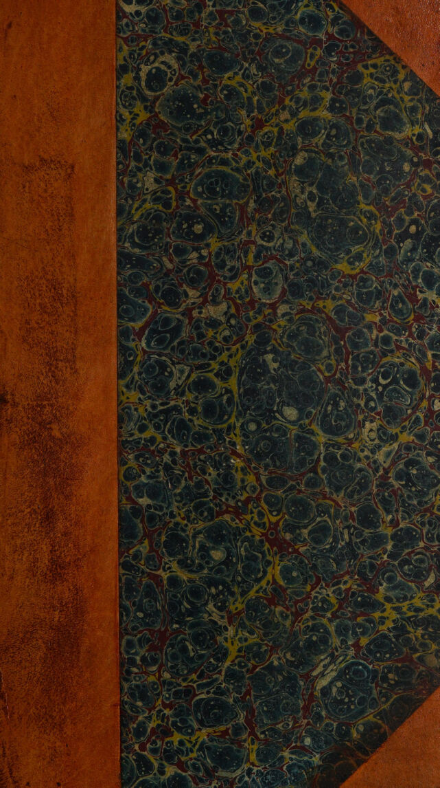 No text description is available for this image