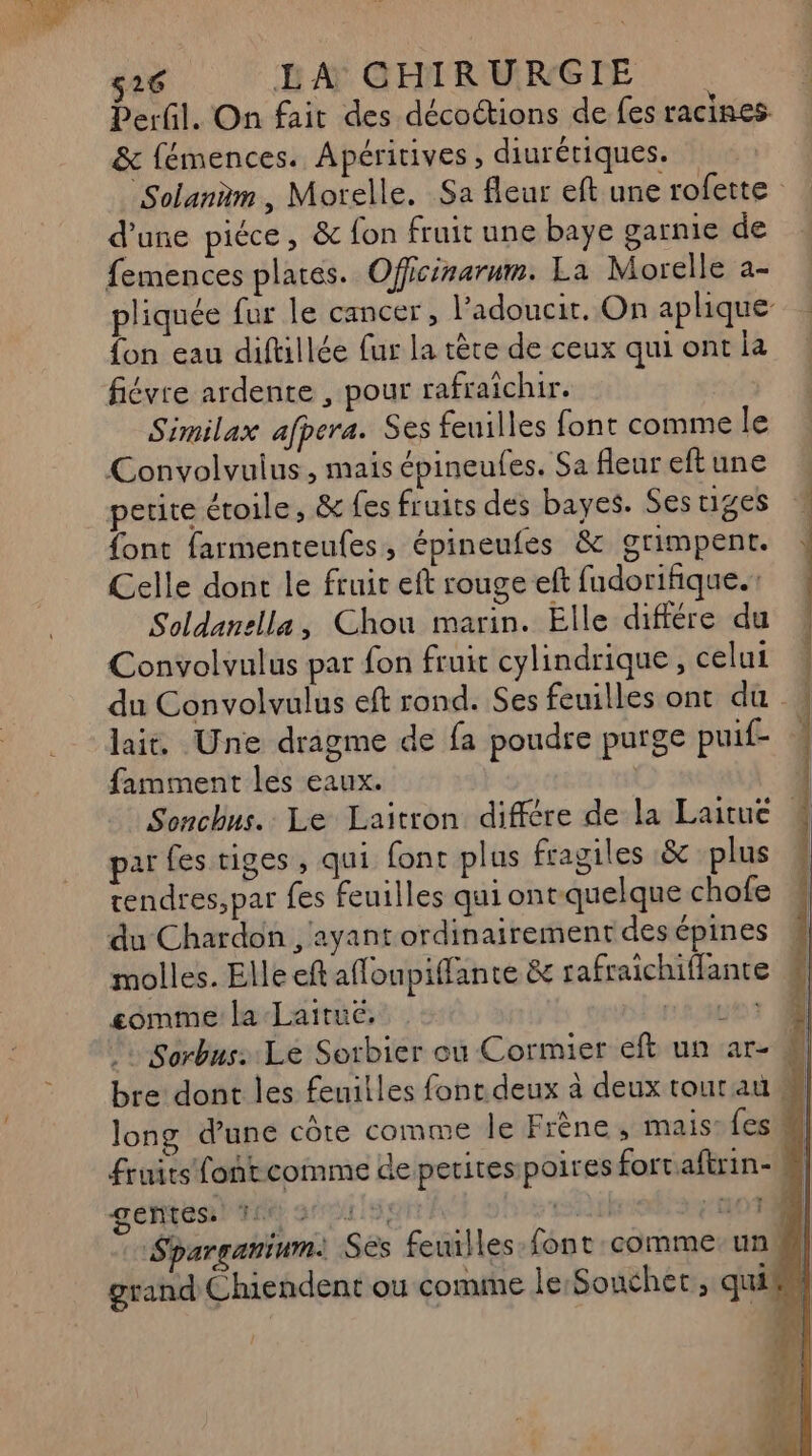 Perfil. On fait des décottions de fes racines. & fémences. Apéritives , diurétiques. Solanàm , Morelle. Sa fleur eft une rofette d’une piéce, & fon fruit une baye garnie de femences plates. Officinarum. La Morelle a- pliquée fur le cancer, l’adoucit. On aplique {on eau diftillée fur la tète de ceux quiontia ! Similax afpera. Ses feuilles font comme le Convolvuius, mais épineufes. Sa fleur eftune petite étoile, & fes fruits des bayes. Ses tiges font farmenteufes, épineufes & grimpent. Celle dont le fruir eft rouge eft fudorihique.: Soldanella, Chou marin. Elle différe du Convolvalus par fon fruit cylindrique , celui du Convolvulus eft rond. Ses feuilles ont du » lait, Une dragme de fa poudre purge puif- famment les eaux. | Sonchus. Le Laitron différe de la Laitue # par fes tiges, qui font plus fragiles & plus tendres, par fes feuilles qui ont-quelque chofe du Chardon ayant ordinairement desépines M molles. Elle eftafloupiffante & rafraichiffante comme la Laitué. ve2.20407 !: Sorbus: Le Sorbier ou Cormier eft un ar- 8 bre dont les feuilles fonr deux à deux tour au long d’une core comme le Frène, mais: {es fruits fontcomme de petites poires fortaftrin- M getiesih ne ais, eo -11017% Sparganium: Ses feuilles: font comme un # grand Chiendent ou comme Île Souchet, quil