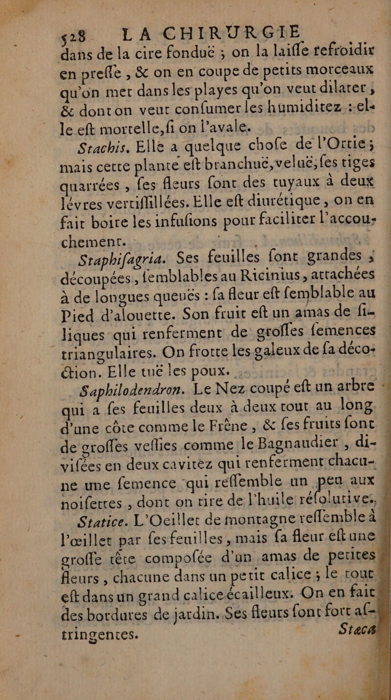 en prefle , &amp; on en coupe de petits morceaux qu'on mer dans les playes qu'on veut dilater, &amp; donton veut confumerles humiditez :.el« le eft mortelle, fi on l’avale. | Stachis. Elle a quelque chofe de l’Oitie; mais cette plante eftbranchué,veluë,fes tiges quarrées , fes fleurs fonc des tuyaux à deux lévres verciffillées. Elle eft diurétique , on en fair boire les infafñons pour faciliter l’accou: chement.. ES de Staphifagria. Ses feuilles font grandes ; découpées, {emblables au Ricinius, attachées à de longues queués : fa fleur eft femblable au Pied d’alouette. Son fruit eft un amas de fie Jiques qui renferment de arolles femences triangulaires. On frotte les.galeux de fadéco+ : tion. Elle tuë les poux.. PARA Saphilodendron. Le Nez coupé eft un arbre qui a fes feuilles deux à deux tout au long. d’une côte comme le Frêne , &amp; fes fruits fonc « de grofles veflies comme le Bagnaudier , di- : vifées en deux cavitéz qui renferment chacu- # ne une femence ‘qui réflemble un peu aux $ noifertes , dont on rire de l'huile D ebrs PF d Statice. L'Ocillet de montagne reflemble à l’œillet par fesfeuilles , mais {a fleur eftune groffe tête compofée d’un amas de petites fleurs , chacune dans un pe tic calice ; le rout. eft dans un grand caliceécailleux. On en fait. des bordures de jardin..Ses fleurs {ont fort af- tringentes. Staca à