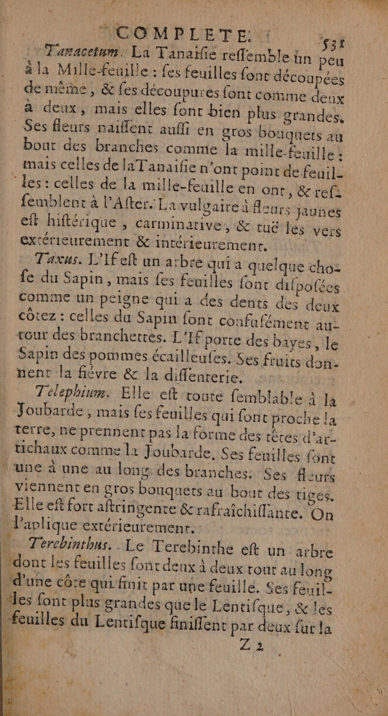 MCE M R LET ENT ‘31 - Tasacetum. La Tanaïfie reflemble fin peu à feuille : fes feuilles f COuUDC ä la Mille-feuille : fes feuilles ont découpées de même, &amp; fes découpures font comme deux a deux, mais elles font bien plus grandes, Ses fleurs raifflent auffi en gros bouquets au bout des branches comme la mille-feuille : ‘les: celles de la mille-feuille en ont, &amp; ref: femblenct à PAfter. La vulgaire à Asurs jaunes eit hiftérique » Carminative, &amp; ruë es vers extérieurement &amp; intérieurement. | Taxus. L'’Ifeft un arbre qui a quelque choz fe du Sapin, mais fes feuilles fonc difbofées Comme un peigne qui a des dents des deux cotez : celles du Sapin font confufément au. tour des branchetres. L'IF porte des bayes, le Sapin des pommes écailleufes. Ses fruits don. nent la fiévre &amp; la diffenterie. Teléphium, Elle eft toute femblable à Ja Joubarde , mais {es feuilles qui font proche la _ Terre, ne prennent pas la forme des tâtes d'ar- tichaux comme l1 Joubarde. Ses feuilles font ‘une à une au long des branches: Ses ours . Viennent en gros bouquets au bout des tiges. Elle ef fort aftringenre &amp; rafraïchiflante. On Paplique extérieuremenr. Terebinthus. Le Terebinthe eft un arbre donc les feuilles font deux À deux rout au long d'une cô:e qui finit par une feuille. Ses feuile es font plus grandes qüele Lentifque, &amp; les feuilles du Lentifque fniflenc par deux fut la | | 22 4, \: àt ù