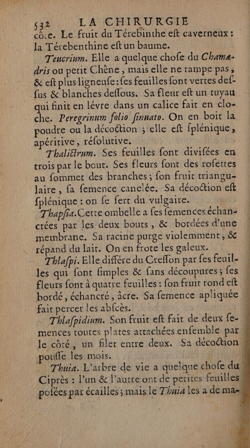 ce. Le fruit du Térebinthe eft caverneux : Ja Térebenthine eft un baume. | Teucrium. Elle a quelque chofe du Chamaæ- dris ou petit Chène , mais elle ne rampe pas, &amp; eft plus ligneufe:fes feuilles font vertes def- fus &amp; blanches deflous. Sa fleur eft un tuyau ui fniten lévre dans un calice fair en clo- che. Peregrinum folio finuato. On en boit la poudre ou la décoétion ;‘elle eft fplénique, apéritive ; réfolutive. | | Thaliärum. Ses feuilles font divifées en trois par le bout. Ses fleurs font des rofettes au fommet des branches; fon fruit triangu- laire , fa femence canelée. Sa décoétion eft fplénique : on fe fert du vulgaire. &amp; Thapfia.Cere ombelle a fes femences échan- crées par les deux bouts, &amp; bordées d’une membrane. Sa racine purge violemment, &amp; répand du lait. On en frote les galeux. Thlafpi. Elle différe du Creflon par fes feuil- les qui font fimples &amp; fans découpures ; {es fleurs font à quatre feuilles : fon fruit rond eft bordé, échancré, âcre. Sa femence apliquée fair percer les ab{cès. Thlafpidium. Son fruit eft fait de deux fe- mences toutes plates attachées enfemble par le côté, un filet entre deux. $a décoétion oufle les mois. Thuia. L'arbre de vie a quelque chofe du Ciprès : l’un &amp; l’autre ont de petites feuilless pofées par écailles ; mais le Thuia les a de mas