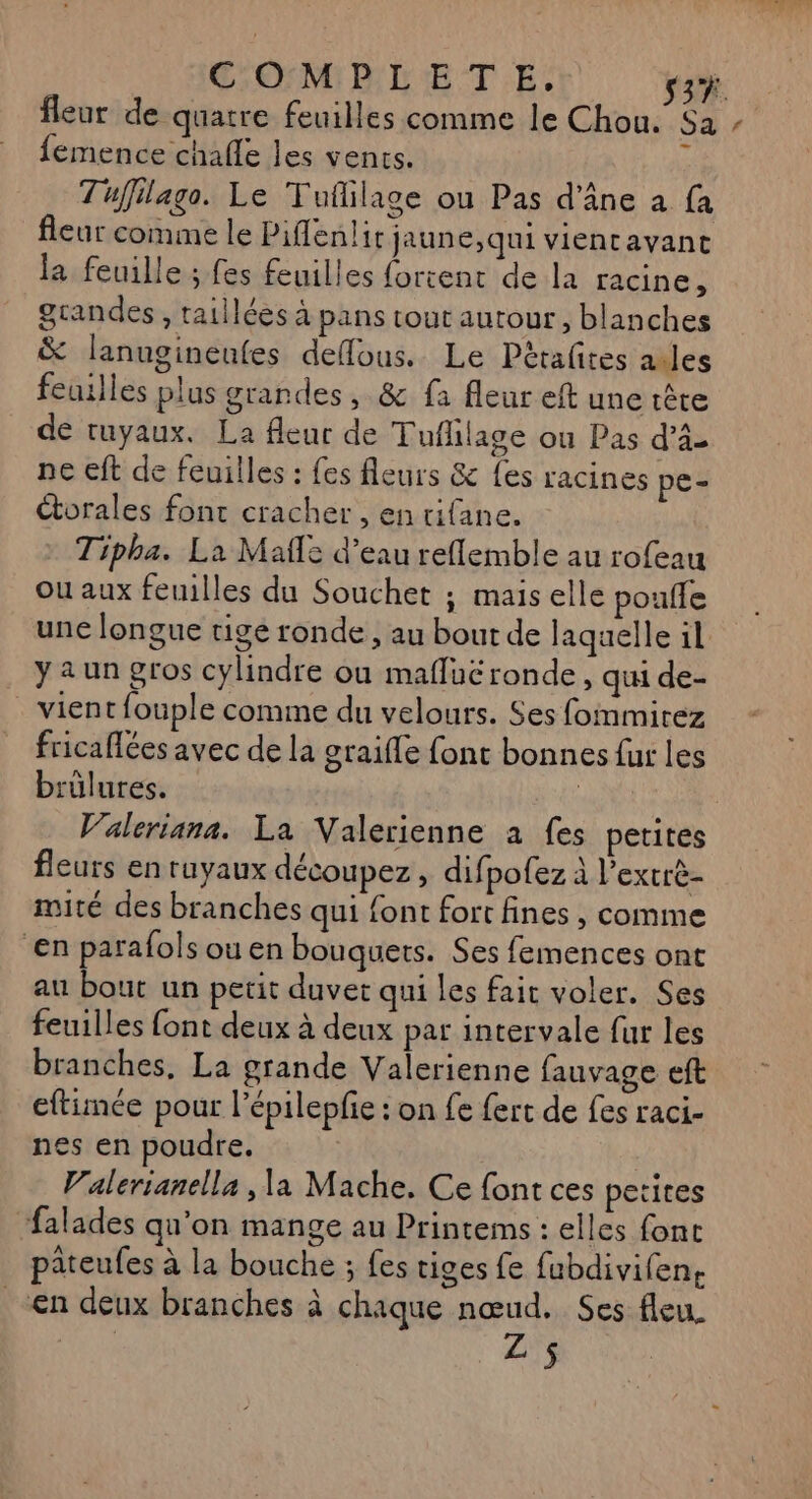 dois End) femence challe les vents. Tuffilago. Le Tuflilage ou Pas d'âne à fa fleur comme le Pifflenlit jaune,qui vientavant la feuille ; fes feuilles fortent de la racine, grandes , taillées à pans tout autour , blanches & lanuginentes deflous. Le Pétafites ailes feuilles plus grandes, & fa fleur eft une tête de tuyaux. La fleur de Tuflilage ou Pas d’à- ne eft de feuilles : fes fleurs & {es racines pe- Étorales font cracher , en tifane. Tipha. La Mails d’eau reflemble au rofeau ou aux feuilles du Souchet ; maiselle poule une longue tige ronde , au bout de laquelle il y aun gros cylindre ou maflué ronde, qui de- _ vient fouple comme du velours. Ses fommirez fricaflées avec de la gtaifle font bonnes fur les brûlures. | fleurs en ruyaux découpez, difpofez À l’extrè- mité des branches qui font fort fines , comme en parafols ou en bouquets. Ses femences ont au bout un petit duvet qui les fait voler. Ses feuilles {ont deux à deux par intervale fur les branches, La grande Valerienne fauvage eft eftimée pour l’épilepfe : on fe fert de fes raci- nes en poudre. | | V'alerianella , la Mache. Ce font ces petites falades qu'on mange au Printems : elles font pateufes à la bouche ; fes tiges fe fubdivifen. _-en deux branches à chaque nœud. Ses fleu.