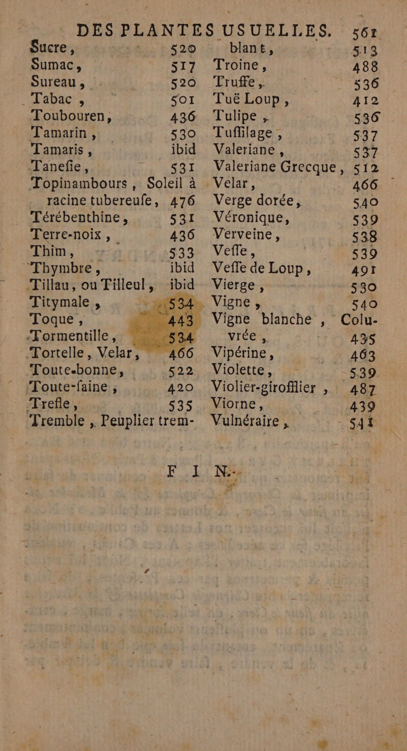 DES PLANTES USUELIL. Es. <6t Sucre, 520 blant, 513 Sumac, 517 Troine, 4188 Sureau, : 520 Truffe, : 536 WFabact, 7. sor TuëLoup, 412 Toubouren, 436 Tulipe , 536 Tamarin, 530 .Tufllage, 537 Tamaris, ibid Valeriane, 537 Tanefie, 531 Valeriane RARE » 512 Topinambours, Soleil à . Velar, 466 racine tubereufe, 476 Verge dorée, 540 Térébenthine, 531 Véronique, 539 Terre-noix, 436 Verveine, 538 Thim, si Vélle, 539 Tbymbre, ibid Vefle de Loup, A9I Tillau, ou Tilleul, ibid Vierge , 530 Titymale À 1534 Vigne, 540 Toque, Vigne blanche , Colu- Tormentille, vrées 43S Tortelle, Velar, Vipérine, 163 Toute-bonne è 522 Violette, -539. Toute-faine, 420 Violier-girofflier , 487 Trefle, 535 Viorne, 439 Tremble , Peupliertrem- Vulnéraire, sat F 1 N: