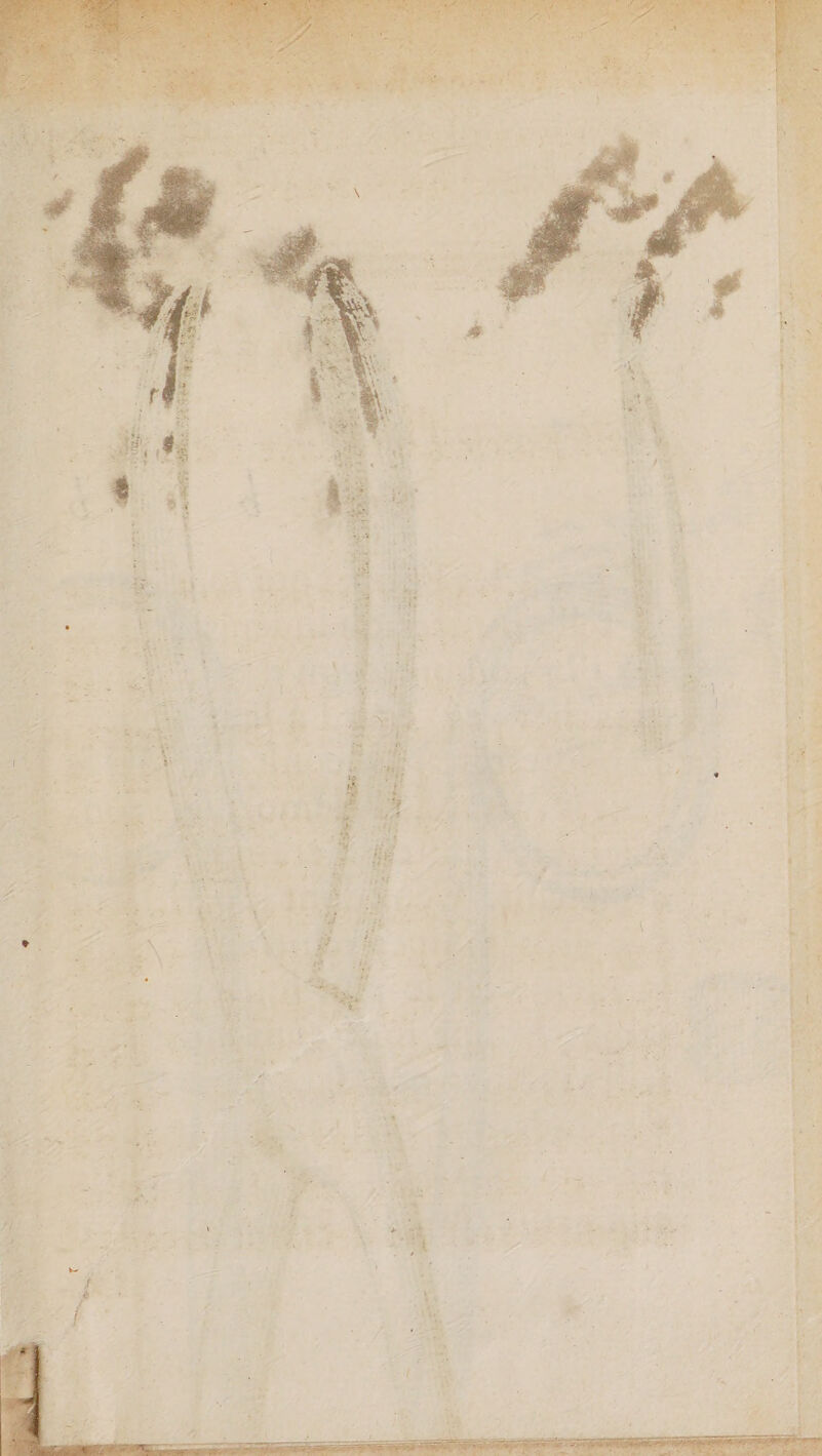 D SEE das mien dre ï \ + 4 RE