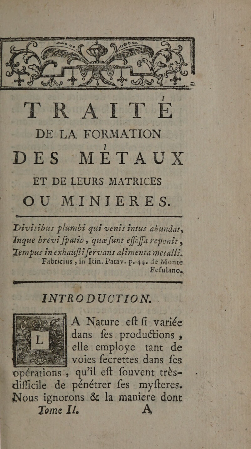 Diviiibus plumbi qui vents intus abundat, Tnque brevi fpatio, que funt effoffa reponit, Zempus in exhauffi fervans alimenta metalli, Fabricius , in Jtin. Patav. p.44. de Monte | Fefulano. INTRODUCTION. . A Nature eff fi variée dans fes productions , elle employe tant de NPA voies fecrettes dans fes opérations , qu’il eft fouvent très- difficile de pénétrer fes myfteres. Nous ignorons &amp; la maniere dont Tome IL, ir nt |