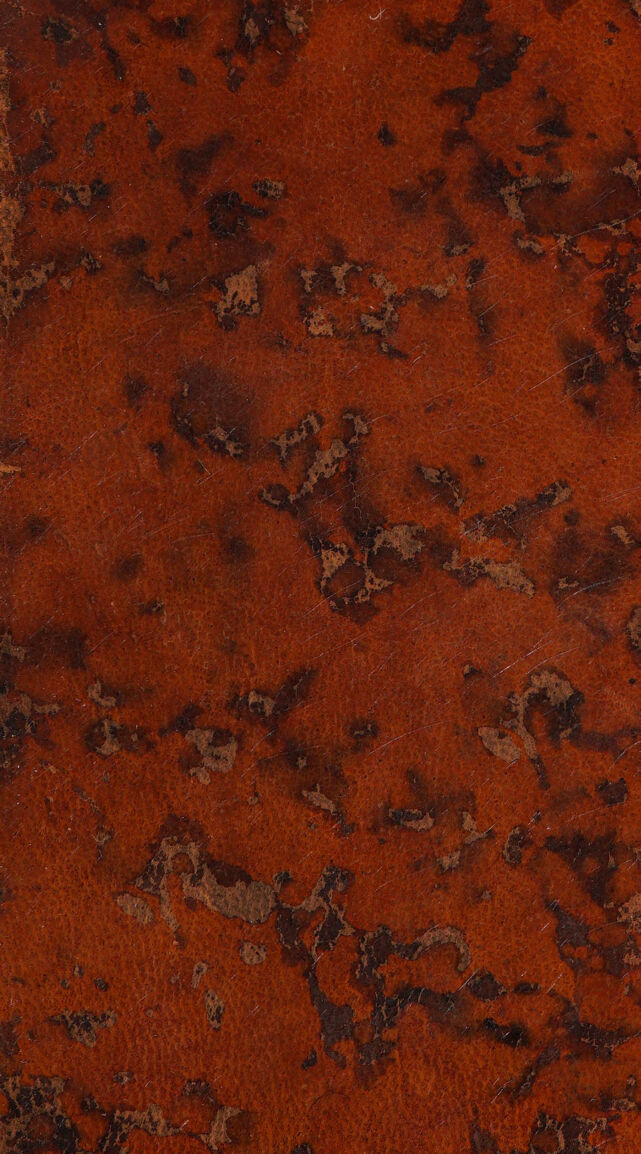 No text description is available for this image