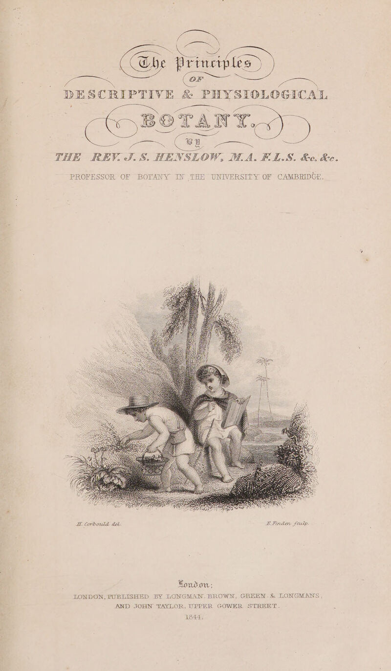 The neice) ) DESCRIPTIVE &amp; PHYSIOLOGICAL ae eS DAE ae Sh 8 qi _ AN iw oy oie OMe ee tn SR eee THE REV. J.-S. HENSLOW, MA. ELS. &amp;e. ke. f UNIVERSITY OF CAMBRIDGE, I PROFESSOR OF BOLPANY EN .1 Kondow: LONDON, PUBLISHED BY LONGMAN, BROWN, GREEN, &amp; LONGMANS , AND JOHN TAYLOR, UPPER GOWER STREET- 5 L844.