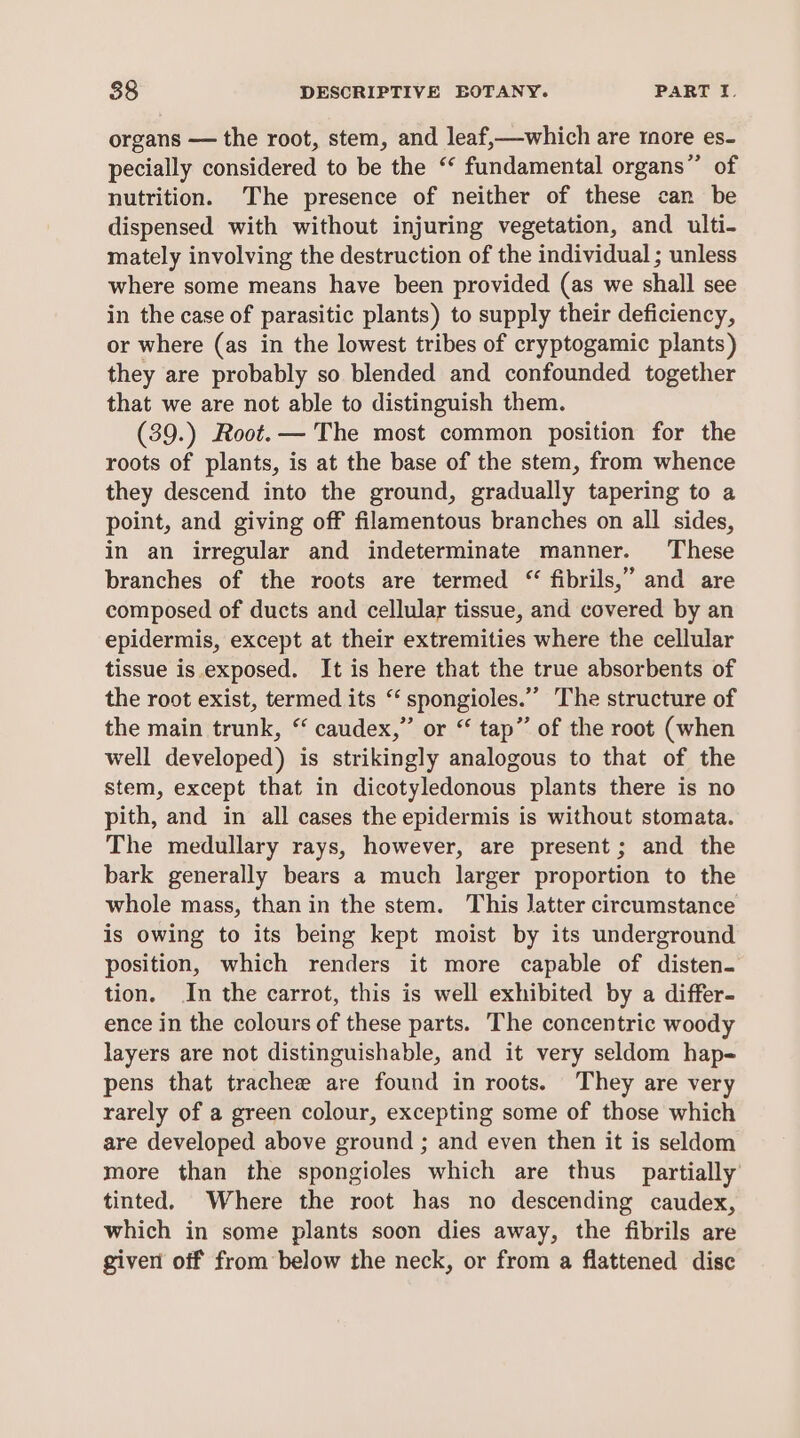 organs — the root, stem, and leaf,—which are tore es- pecially considered to be the “‘ fundamental organs”’ of nutrition. The presence of neither of these can be dispensed with without injuring vegetation, and ulti- mately involving the destruction of the individual ; unless where some means have been provided (as we shall see in the case of parasitic plants) to supply their deficiency, or where (as in the lowest tribes of cryptogamic plants) they are probably so blended and confounded together that we are not able to distinguish them. (39.) Root.— The most common position for the roots of plants, is at the base of the stem, from whence they descend into the ground, gradually tapering to a point, and giving off filamentous branches on all sides, in an irregular and indeterminate manner. These branches of the roots are termed “ fibrils,” and are composed of ducts and cellular tissue, and covered by an epidermis, except at their extremities where the cellular tissue is exposed. It is here that the true absorbents of the root exist, termed its “ spongioles.” The structure of the main trunk, “ caudex,” or “ tap” of the root (when well developed) is strikingly analogous to that of the stem, except that in dicotyledonous plants there is no pith, and in all cases the epidermis is without stomata. The medullary rays, however, are present; and the bark generally bears a much larger proportion to the whole mass, than in the stem. This latter circumstance is owing to its being kept moist by its underground position, which renders it more capable of disten- tion. In the carrot, this is well exhibited by a differ- ence in the colours of these parts. The concentric woody layers are not distinguishable, and it very seldom hap- pens that trachee are found in roots. They are very rarely of a green colour, excepting some of those which are developed above ground ; and even then it is seldom more than the spongioles which are thus partially tinted. Where the root has no descending caudex, which in some plants soon dies away, the fibrils are given off from below the neck, or from a flattened disc