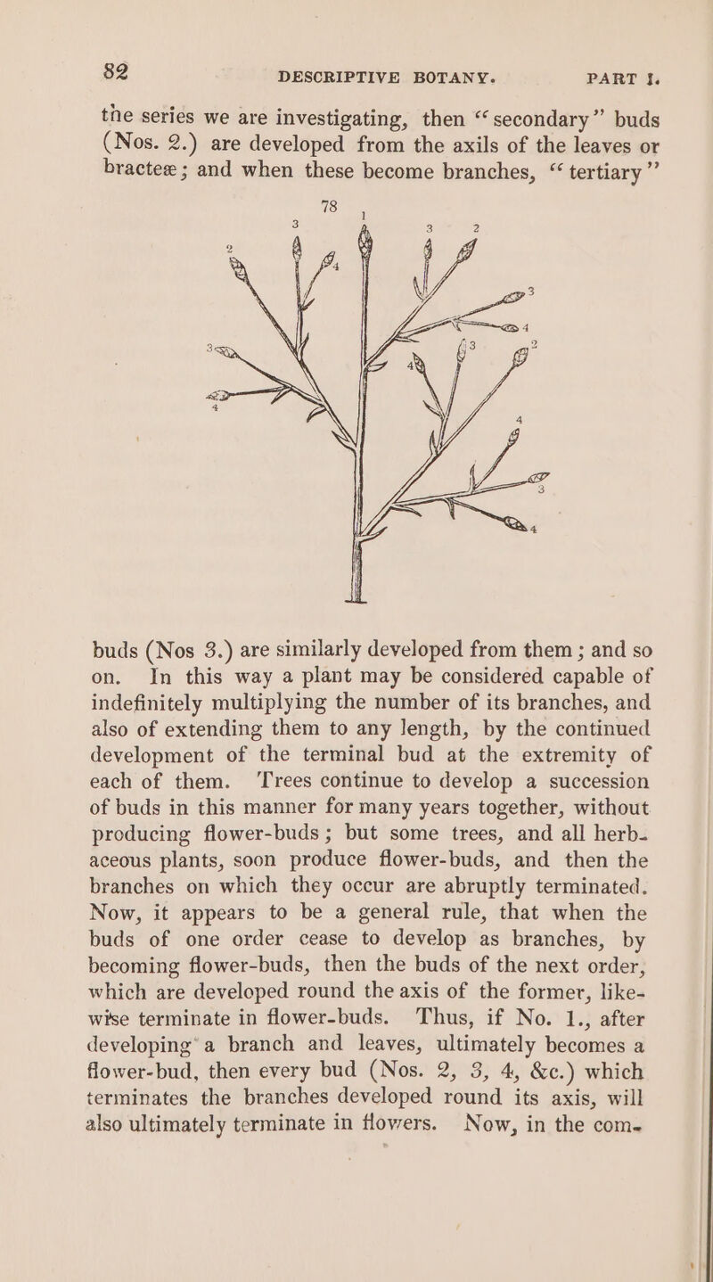 the series we are investigating, then “secondary” buds (Nos. 2.) are developed from the axils of the leaves or bractee ; and when these become branches, “ tertiary” buds (Nos 3.) are similarly developed from them ; and so on. In this way a plant may be considered capable of indefinitely multiplying the number of its branches, and also of extending them to any length, by the continued development of the terminal bud at the extremity of each of them. ‘Trees continue to develop a succession of buds in this manner for many years together, without producing flower-buds ; but some trees, and all herb. aceous plants, soon produce flower-buds, and then the branches on which they occur are abruptly terminated. Now, it appears to be a general rule, that when the buds of one order cease to develop as branches, by becoming flower-buds, then the buds of the next order, which are developed round the axis of the former, like- wise terminate in flower-buds. Thus, if No. 1., after developing’ a branch and leaves, ultimately becomes a flower-bud, then every bud (Nos. 2, 3, 4, &amp;c.) which terminates the branches developed round its axis, will also ultimately terminate in flowers. Now, in the com-