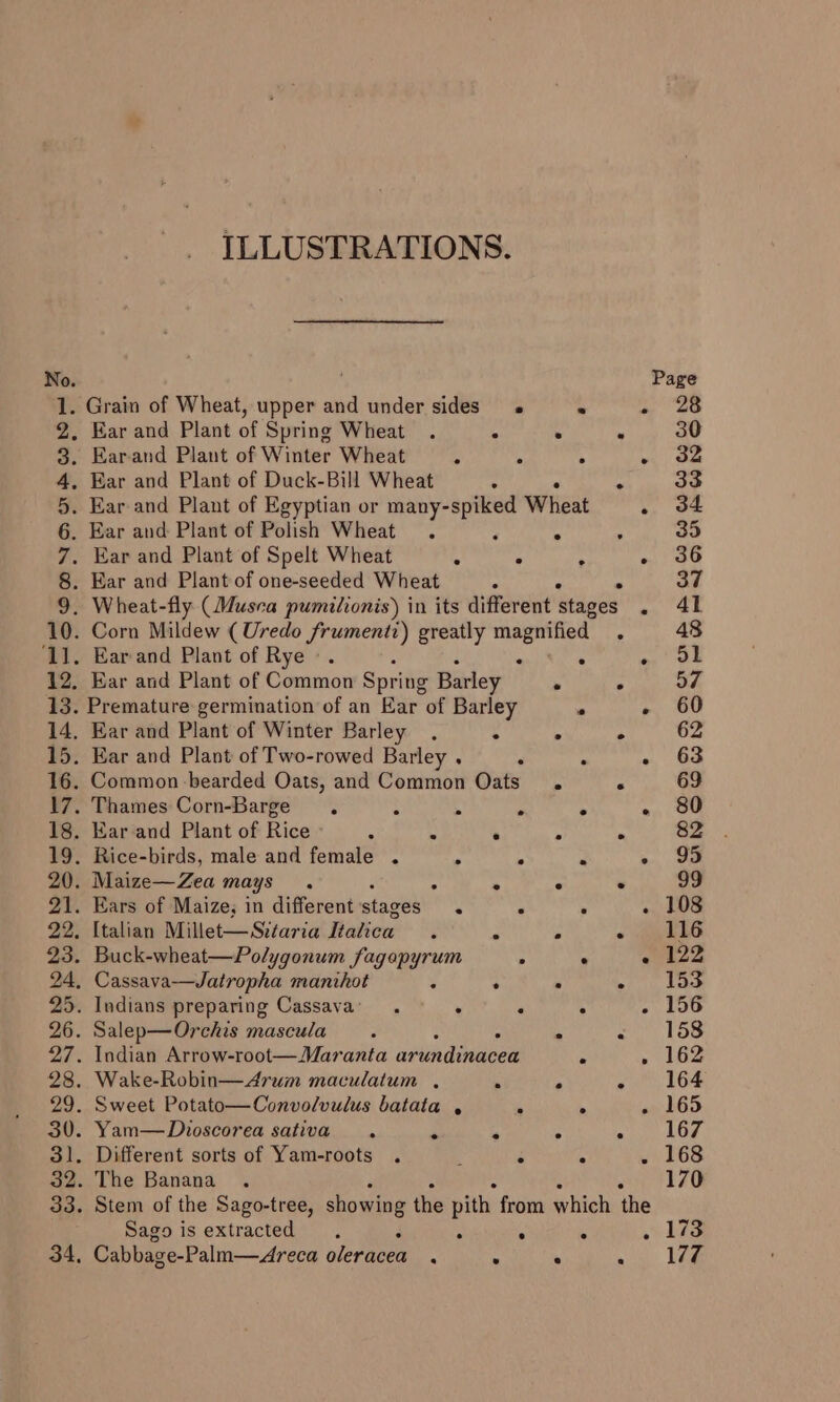 No. qT. 9. ILLUSTRATIONS. Grain of Wheat, upper and under sides « « : Ear and Plant of Spring Wheat . . . . 8. Earand Plant of Winter Wheat A * &gt; . 4, Ear and Plant of Duck-Bill Wheat ; ” 5. Ear and Plant of Egyptian or many- Lee Wheat ° 6. Ear and Plant of Polish Wheat. 4 ; 7. Ear and Plant of Spelt Wheat A Bi . » 8. Ear and Plant of one-seeded Wheat » 9. Wheat-fly (Musca pumilionis) in its different ‘stages i 10. Corn Mildew (Uredo frumenti) greatly egiee i ‘11. Earand Plant of Rye -. . . 12. Ear and Plant of Common Spring Barley * . 13. Premature germination of an Ear of Barley . ° 14, Ear and Plant of Winter Barley . 3 x . 15. Ear and Plant of Two-rowed Barley . &lt; * . 16. Common bearded Oats, and Common Oats . . 17. Thames Corn-Barge . : . . . . 18. Ear and Plant of Rice é . ‘ : &amp; 19. Rice-birds, male and female . &gt; 2 » 20. Maize—Zea mays. . . . 21. Ears of Maize; in different stages’ : : ‘ é 22. Italian Millet-—Sitaria Ration: ; : P &lt; 23. Buck-wheat—Polygonum fagopyrum : . . 24, Cassava—Jatropha manihot : : . ° 25. Indians preparing Cassava’. . ‘ . . 26. Salep—Orchis mascula » : A &amp; 27. Indian Arrow-root—Maranta avtdineeed rs ‘ 28. Wake-Robin—Arum maculatum , ‘ ce ” 29. Sweet Potato—Convolvulus batata , i ‘ ‘a 30. Yam—Dhvoscorea sativa . s a : A 31. Different sorts of Yam-roots . : é . . 32. The Banana Sago is extracted : 4 iy ;