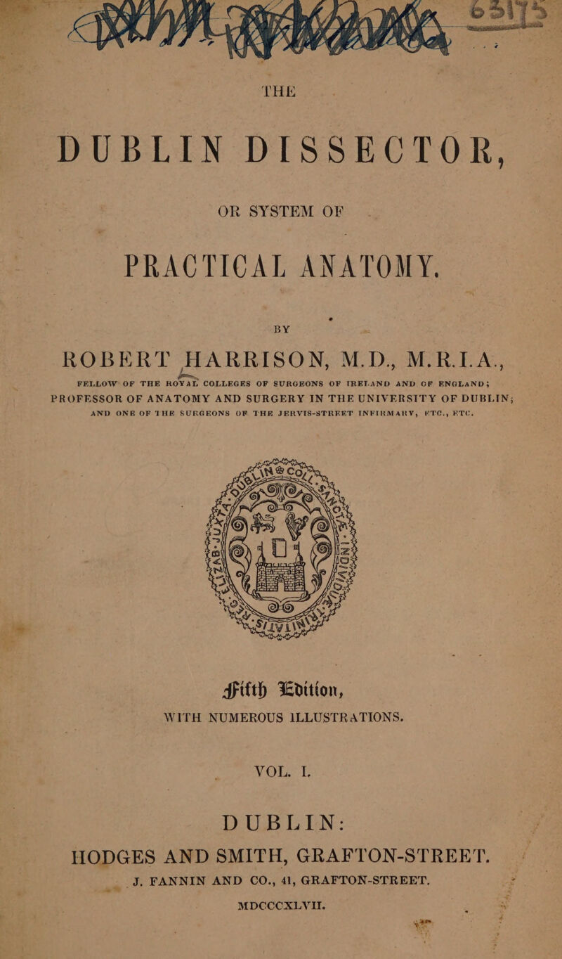 OR SYSTEM OF PRACTICAL ANATOMY. BY ROBERT HARRISON, M.D., M.R.LA., FELLOW OF THE ROYAL COLLEGES OF SURGEONS OF IRELAND AND OF ENGLAND; PROFESSOR OF ANATOMY AND SURGERY IN THE UNIVERSITY OF DUBLIN; AND ONE OF THE SURGEONS OF THE JERVIS-STREFT INFIRMARY, &amp;TC., FTC, AOL E DUBLIN: HODGES AND SMITH, GRAFTON-STREET. _ J, FANNIN AND CO., 41, GRAFTON-STREET. 3 MDCCCXLVII. ab