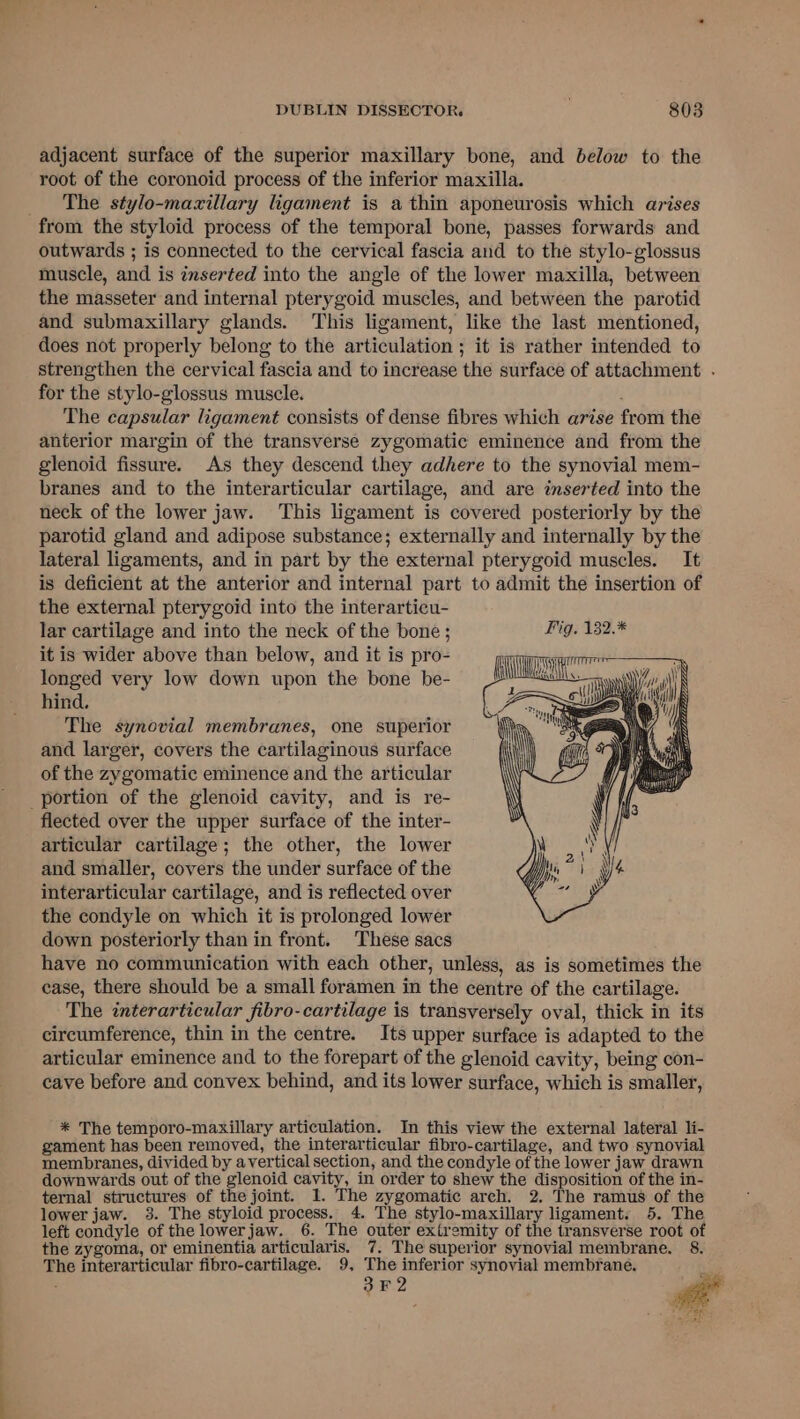 adjacent surface of the superior maxillary bone, and below to the root of the coronoid process of the inferior maxilla. _ The stylo-mazxillary ligament is a thin aponeurosis which arises from the styloid process of the temporal bone, passes forwards and outwards ; is connected to the cervical fascia and to the stylo-glossus muscle, and is inserted into the angle of the lower maxilla, between the masseter and internal pterygoid muscles, and between the parotid and submaxillary glands. This ligament, like the last mentioned, does not properly belong to the articulation ; it is rather intended to strengthen the cervical fascia and to increase the surface of attachment . for the stylo-glossus muscle. ; The capsular ligament consists of dense fibres which arise from the anterior margin of the transverse zygomatic eminence and from the glenoid fissure. As they descend they adhere to the synovial mem- branes and to the interarticular cartilage, and are inserted into the neck of the lower jaw. This ligament is covered posteriorly by the parotid gland and adipose substance; externally and internally by the lateral ligaments, and in part by the external pterygoid muscles. It is deficient at the anterior and internal part to admit the insertion of the external pterygoid into the interarticu- lar cartilage and into the neck of the bone ; it is wider above than below, and it is pro- longed very low down upon the bone be- hind. The synovial membranes, one superior and larger, covers the cartilaginous surface of the zygomatic eminence and the articular portion of the glenoid cavity, and is re- flected over the upper surface of the inter- articular cartilage; the other, the lower and smaller, covers the under surface of the interarticular cartilage, and is reflected over the condyle on which it is prolonged lower down posteriorly than in front. These sacs have no communication with each other, unless, as is sometimes the case, there should be a small foramen in the centre of the cartilage. The interarticular fibro-cartilage is transversely oval, thick in its circumference, thin in the centre. Its upper surface is adapted to the articular eminence and to the forepart of the glenoid cavity, being con- cave before and convex behind, and its lower surface, which is smaller, * The temporo-maxillary articulation. In this view the external lateral li- gament has been removed, the interarticular fibro-cartilage, and two synovial membranes, divided by avertical section, and the condyle of the lower jaw drawn downwards out of the glenoid cavity, in order to shew the disposition of the in- ternal structures of the joint. 1. The zygomatic arch. 2. The ramus of the lower jaw. 3. The styloid process. 4. The stylo-maxillary ligament. 5. The left condyle of the lowerjaw. 6. The outer extremity of the transverse root of the zygoma, or eminentia articularis. 7. The superior synovial membrane. 8. The interarticular fibro-cartilage. 9, The inferior synovial membrane. Pas Bo