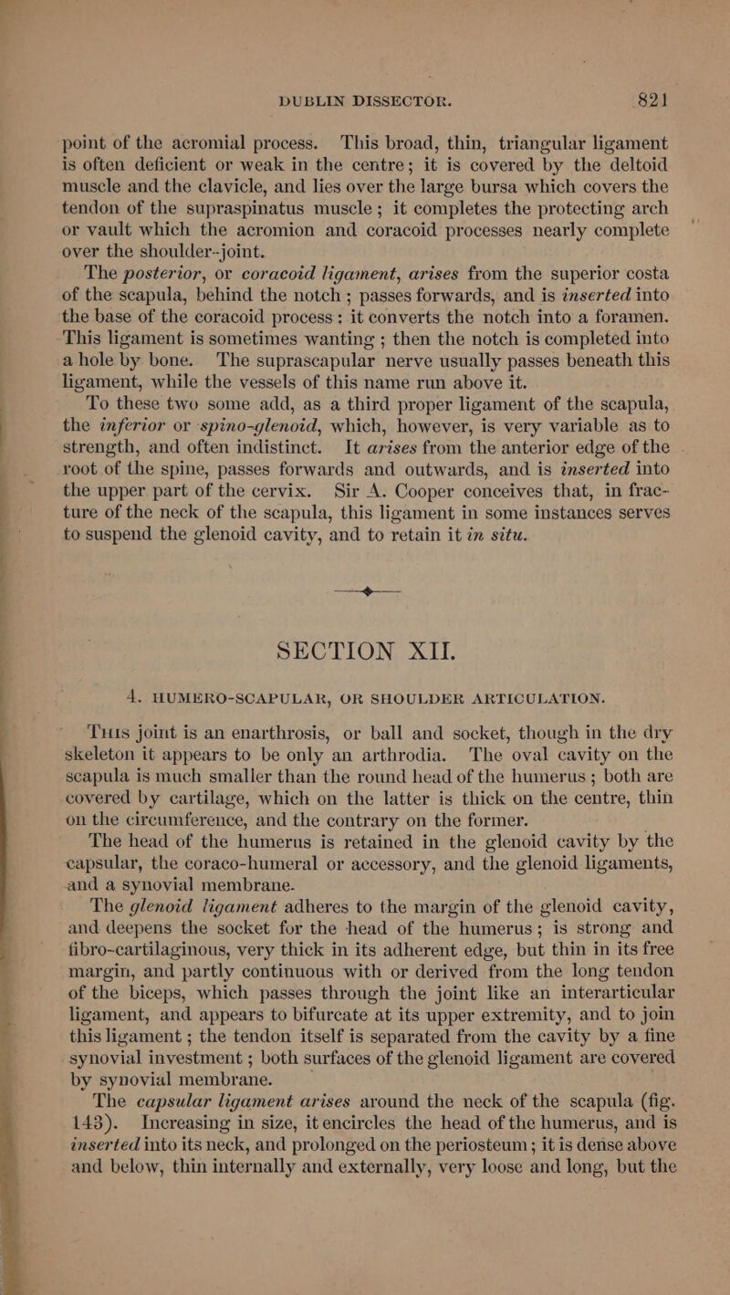 point of the acromial process. This broad, thin, triangular ligament is often deficient or weak in the centre; it is covered by the deltoid muscle and the clavicle, and lies over the large bursa which covers the tendon of the supraspinatus muscle ; it completes the protecting arch or vault which the acromion and coracoid processes nearly complete over the shoulder-joint. The posterior, or coracoid ligament, arises from the superior costa of the scapula, behind the notch ; passes forwards, and is inserted into the base of the coracoid process: it converts the notch into a foramen. This ligament is sometimes wanting ; then the notch is completed into ahole by bone. The suprascapular nerve usually passes beneath this ligament, while the vessels of this name run above it. To these two some add, as a third proper ligament of the scapula, the inferior or spino-glenoid, which, however, is very variable as to strength, and often indistinct. It arises from the anterior edge of the root of the spine, passes forwards and outwards, and is inserted into the upper part of the cervix. Sir A. Cooper conceives that, in frac- ture of the neck of the scapula, this ligament in some instances serves to suspend the glenoid cavity, and to retain it in situ. SECTION XII. 4A, HUMERO-SCAPULAR, OR SHOULDER ARTICULATION. THis joint is an enarthrosis, or ball and socket, though in the dry skeleton it appears to be only an arthrodia. The oval cavity on the scapula is much smaller than the round head of the humerus ; both are covered by cartilage, which on the latter is thick on the centre, thin on the circumference, and the contrary on the former. The head of the humerus is retained in the glenoid cavity by the capsular, the coraco-humeral or accessory, and the glenoid ligaments, and a synovial membrane. The glenoid ligament adheres to the margin of the glenoid cavity, and deepens the socket for the head of the humerus; is strong and fibro-cartilaginous, very thick in its adherent edge, but thin in its free margin, and partly continuous with or derived from the long tendon of the biceps, which passes through the joint like an interarticular ligament, and appears to bifurcate at its upper extremity, and to join this ligament ; the tendon itself is separated from the cavity by a fine synovial investment ; both surfaces of the glenoid ligament are covered by synovial membrane. The capsular ligament arises around the neck of the scapula (fig. 143). Increasing in size, it encircles the head of the humerus, and is inserted into its neck, and prolonged on the periosteum ; it is dense above and below, thin internally and externally, very loose and long, but the