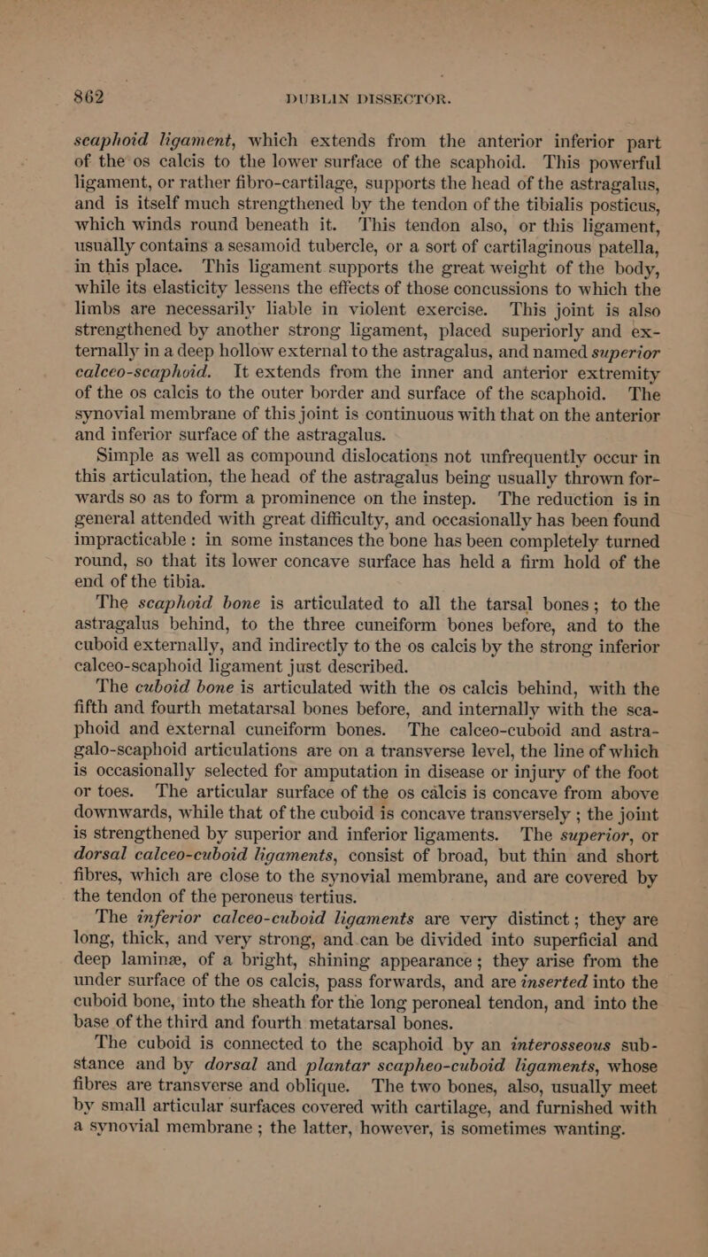 seaphoid ligament, which extends from the anterior inferior part of the os calcis to the lower surface of the scaphoid. This powerful ligament, or rather fibro-cartilage, supports the head of the astragalus, and is itself much strengthened by the tendon of the tibialis posticus, which winds round beneath it. This tendon also, or this ligament, usually contains a sesamoid tubercle, or a sort of cartilaginous patella, in this place. This ligament supports the great weight of the body, while its elasticity lessens the effects of those concussions to which the limbs are necessarily liable in violent exercise. This joint is also strengthened by another strong ligament, placed superiorly and ex- ternally in a deep hollow external to the astragalus, and named superior calceo-scaphoid. It extends from the inner and anterior extremity of the os calcis to the outer border and surface of the scaphoid. The synovial membrane of this joint is continuous with that on the anterior and inferior surface of the astragalus. Simple as well as compound dislocations not unfrequently occur in this articulation, the head of the astragalus being usually thrown for- wards so as to form a prominence on the instep. The reduction is in general attended with great difficulty, and occasionally has been found impracticable: in some instances the bone has been completely turned round, so that its lower concave surface has held a firm hold of the end of the tibia. The scaphoid bone is articulated to all the tarsal bones; to the astragalus behind, to the three cuneiform bones before, and to the cuboid externally, and indirectly to the os calcis by the strong inferior calceo-scaphoid ligament just described. The cuboid bone is articulated with the os calcis behind, with the fifth and fourth metatarsal bones before, and internally with the sca- phoid and external cuneiform bones. The calceo-cuboid and astra- galo-scaphoid articulations are on a transverse level, the line of which is occasionally selected for amputation in disease or injury of the foot or toes. The articular surface of the os calcis is concave from above downwards, while that of the cuboid is concave transversely ; the joint is strengthened by superior and inferior ligaments. The superior, or dorsal calceo-cuboid ligaments, consist of broad, but thin and short fibres, which are close to the synovial membrane, and are covered by the tendon of the peroneus tertius. The inferior calceo-cuboid ligaments are very distinct ; they are long, thick, and very strong, and.can be divided into superficial and deep laminz, of a bright, shining appearance; they arise from the under surface of the os calcis, pass forwards, and are inserted into the cuboid bone, into the sheath for the long peroneal tendon, and into the base of the third and fourth metatarsal bones. The cuboid is connected to the scaphoid by an interosseous sub- stance and by dorsal and plantar scapheo-cuboid ligaments, whose fibres are transverse and oblique. The two bones, also, usually meet by small articular surfaces covered with cartilage, and furnished with a synovial membrane ; the latter, however, is sometimes wanting.