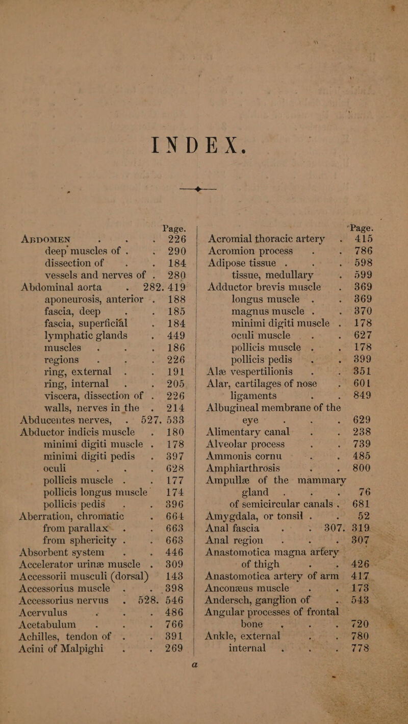2 Sg cree Page ‘Page ABDOMEN : . 226 | Acromial thoracic artery . 415 deep muscles ape seat Acromion process’. - 786 dissection of : 184 Adipose tissue . - 598 vessels and nerves ot 280 tissue, medullary or BOY Abdominal aorta . 282.419 | Adductor brevis muscle . 369 aponeurosis, anterior . 188 | longus muscle. eo fascia, deep : s *1Sb magnus muscle . 870 fascia, superficial - 184 | minimi digiti muscle . 178 lymphatic ae . 449 | oculi muscle . . O27 muscles. ged Sok noche pollicis muscle . oe FS regions. , el eaee pollicis pedis. 399 ring, external . . 191 | Ale vespertilionis . . 351 ring, internal. . 205 | Alar, cartilagesofnose . 601 viscera, dissection of . 226 | ‘ligaments : 849 walls, nervesin the . 214 | Albugineal membrane of the Abducentes nerves, . 527, 533 eye : : .' G29 Abductor indicis muscle . 180 Alimentary canal. 7 238 minimi digiti muscle . 178 Alveolar process 5 . 739 minimi digiti pedis . 397 Ammonis cornu : - A85 oculi : : - 628 Amphiarthrosis ; 800 pollicis muscle . acts 4 Ampulle of the mammary pollicis longus muscle 174 gland. ; i Ee pollicis pedis. » B96 of semicircular canals. 681 Aberration, chromatic - 664 | Amygdala, or tonsil . eae from parallax. . . 663 Anal fascia : >” BOT Aa ieee from sphericity . . 6638 | Anal region. 307 Absorbent system . . 446 Anastomotica magna artery FIR Accelerator urine muscle . 309 of thigh : 426 - Accessorii musculi (dorsal) 143 | Anastomotica artery of arm 417_ Accessorius muscle . 898 Anconeeus muscle. age Accessorius nervus . 628. 546 | Andersch, ganglion of . 548 Acervulus : : . 486 Angular processes of frontal ~ Se Acetabulum ; 27 266 one 7. : 2 E20. ee Achilles, tendon of . fn BOL Ankle, external fe . 780 a Acini of Malpighi - 268 internal . : eer ke