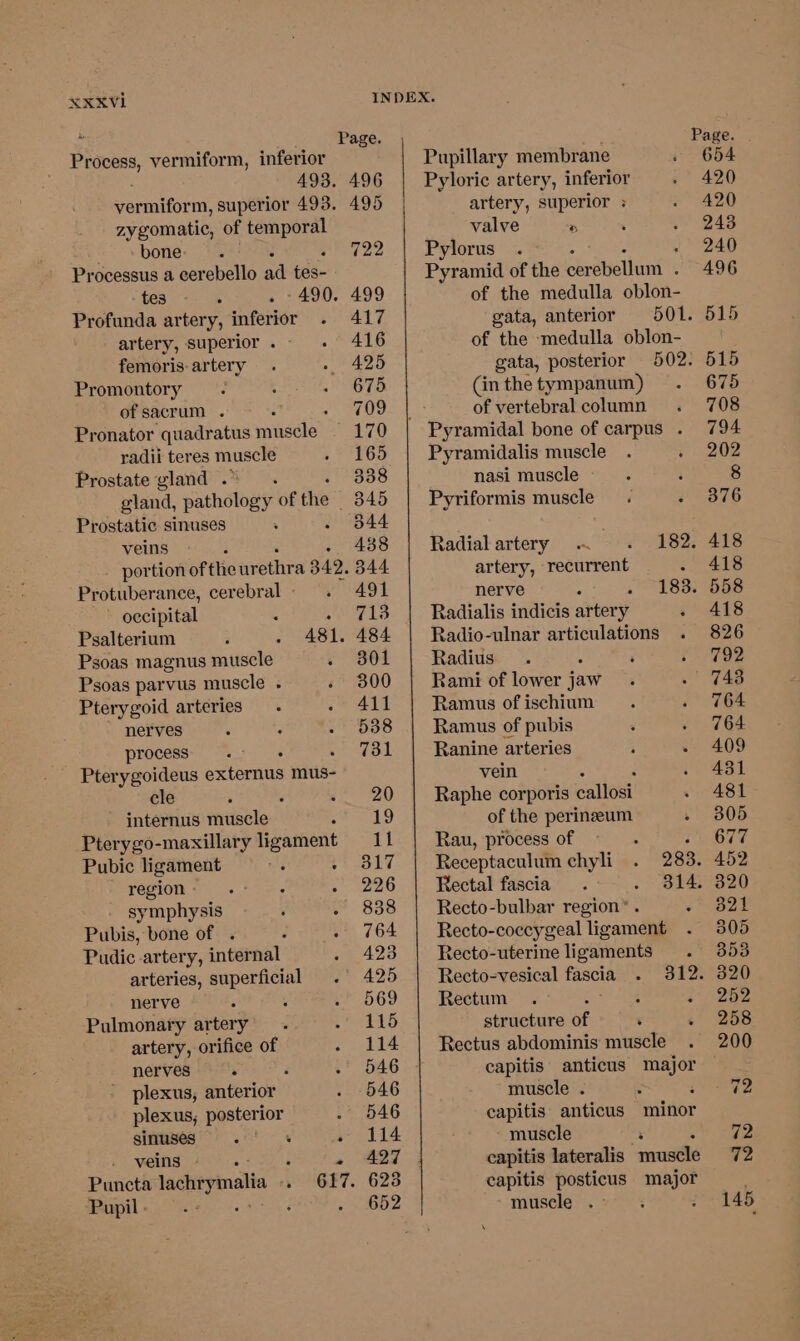 Process, vermiform, inferior Page. 493. 496 vormifor m, superior 493. 495 zygomatic, of temporal bone. 722 Processus a cerebello ad tes- tes -490. 499 Profunda artery, inferior 417 artery, superior . 416 femoris: artery » 425 Promontory - 675 of sacrum . ; + ‘709 Pronator quadratus muscle 170 radii teres muscle 165 Prostate gland . 338 gland, sacnatees of the _ 845 Prostatic sinuses 344 veins 438 - portion of the urethr a 342. 344 Protuberance, cerebral - 491 occipital - 713 Psalterium 481. 484 Psoas magnus muscle 301 Psoas parvus muscle . 300 Pterygoid arteries 411 nerves 538 process ~ 731 Pterygoideus externus mus- cle 20 internus muscle 19 Pterygo-maxillary ligament 11 Pubic ligament eae | region - 226 symphysis 838 Pubis, bone of . 764 Pudic artery, internal 423 arteries, superficial 425 nerve 569 Pulmonary artery 115 artery, orifice of 114 nerves R 546 plexus, anterior 546 plexus, posterior 546 sinuses ‘ ~ 114 veins #6 5..5 2) « 427 Puncta fachrymals +. 617. 623 Pupil - j 652 Pupillary membrane Pyloric artery, inferior artery, superior : valve &gt; Pylorus . : Pyramid of the cerebellum : of the medulla oblon- gata, anterior of the ‘medulla oblon- gata, posterior (in the tympanum) of vertebral column Pyramidalis muscle nasi muscle Pyriformis muscle Radial artery 182. artery, recurrent : nerve 183. Radialis indicis artery Radio-ulnar articulations . Radius Rami of lower jaw Ramus of ischium Ramus of pubis Ranine arteries vein ‘ Raphe corporis caltoai' of the perineeum Rau, process of 3 Receptaculum chyli 283. Rectal fascia 314. Recto-bulbar region”. Recto-coecygeal ligament Recto-uterine ligaments Recto-vesical fascia Rectum ; structure of ‘ Rectus abdominis muscle capitis anticus re muscle . capitis anticus minor muscle capitis lateralis “muscle capitis posticus major muscle . 409 452 320