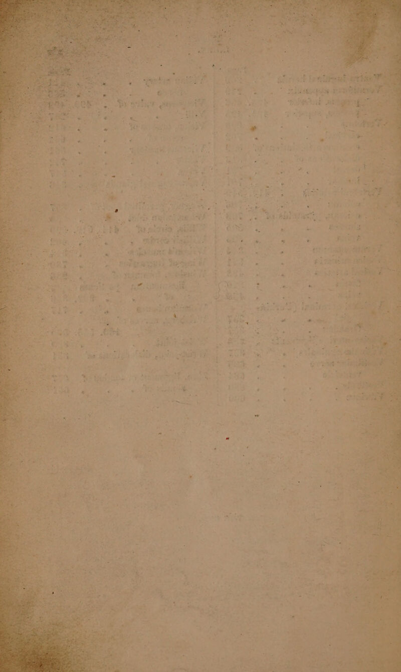 oy af, ae 7 a shi ee aie eee, LOR eck ae ee jm bet! ET se at lee , He. MRSS . trelnis au nbiee ¢: : bs ail : e arora . $ : re. eben PRE TS Te eS La PaPbrmisgl:, Nesynd t ey wie £ , oe i a Y BL ne bow t: