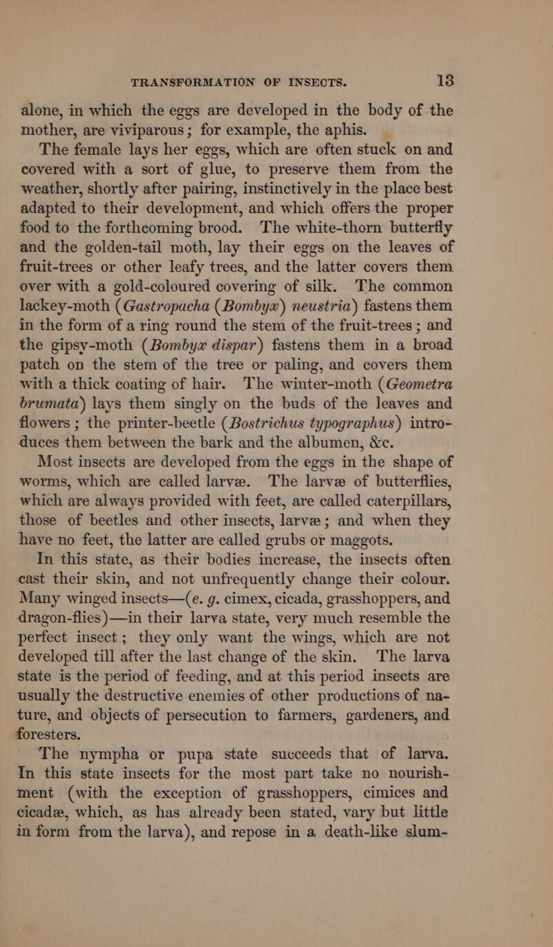 alone, in which the eggs are developed in the body of the mother, are viviparous; for example, the aphis. _ The female lays her eggs, which are often stuck on and covered with a sort of glue, to preserve them from the weather, shortly after pairing, instinctively in the place best adapted to their development, and which offers the proper food to the forthcoming brood. The white-thorn butterfly and the golden-tail moth, lay their eggs on the leaves of fruit-trees or other leafy trees, and the latter covers them over with a gold-coloured covering of silk. The common lackey-moth (Gastropacha (Bombyx) neustria) fastens them in the form of a ring round the stem of the fruit-trees ; and the gipsy-moth (Bombyx dispar) fastens them in a broad patch on the stem of the tree or paling, and covers them with a thick coating of hair. The winter-moth (Geometra brumata) lays them singly on the buds of the leaves and flowers ; the printer-beetle (Bostrichus typographus) intro- duces them between the bark and the albumen, &amp;c. Most insects are developed from the eggs in the shape of worms, which are called larve. The larve of butterflies, which are always provided with feet, are called caterpillars, those of beetles and other insects, larve ; and when they have no feet, the latter are called grubs or maggots. In this state, as their bodies increase, the insects often east their skin, and not unfrequently change their colour. Many winged insects—(e. g. cimex, cicada, grasshoppers, and dragon-flies )—in their larva state, very much resemble the perfect insect; they only want the wings, which are not developed till after the last change of the skin. The larva state is the period of feeding, and at this period insects are usually the destructive enemies of other productions of na- ture, and objects of persecution to farmers, gardeners, and foresters. The nympha or pupa state succeeds that of larva. In this state insects for the most part take no nourish- ment (with the exception of grasshoppers, cimices and cicadee, which, as has already been stated, vary but little in form from the larva), and repose in a death-like slum-