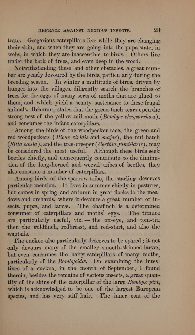 trate. Gregarious caterpillars live while they are changing their skin, and when they are going into the pupa state, in webs, in which they are inaccessible to birds. Others live under the bark of trees, and even deep in the wood. Notwithstanding these and other obstacles, a great num- ber are yearly devoured by the birds, particularly during the breeding season. In winter a multitude of birds, driven by hunger into the villages, diligently search the branches of trees for the eggs of many sorts of moths that are glued to them, and which yield a scanty sustenance to these frugal animals. Réaumur states that the green-finch tears open the strong nest of the yellow-tail moth (Bombywx chrysorrhea), and consumes the infant caterpillars. Among the birds of the woodpecker race, the green and red woodpeckers ( Picus viridis and major), the nut-hatch (Sitta cesia), and the tree-creeper (Certhia familiaris), may be considered the most useful. Although these birds seek beetles chiefly, and consequently contribute to the diminu- tion of the long-horned and weevil tribes of beetles, they also consume a number of caterpillars. Among birds of the sparrow tribe, the starling deserves particular mention. It lives in summer chiefly in pastures, but comes in spring and autumn in great flocks to the mea- dows and orchards, where it devours a great number of in- - sects, pupee, and larve. The chaffinch is a determined consumer of caterpillars and moths eggs. The titmice are particularly useful, viz.— the ox-eye, and tom-tit, then the goldfinch, redbreast, and red-start, and also the wagtails. The cuckoo also particularly deserves to be spared ; it not only devours many of the smaller smooth-skinned larvae, but even consumes the hairy caterpillars of many moths, particularly of the Bombycide. On examining the intes- tines of a cuckoo, in the month of September, I found therein, besides the remains of various insects, a great quan~. tity of the skins of the caterpillar of the large Bombyx piri, which is acknowledged to be one of the largest European species, and has very stiff hair. The imner coat of the