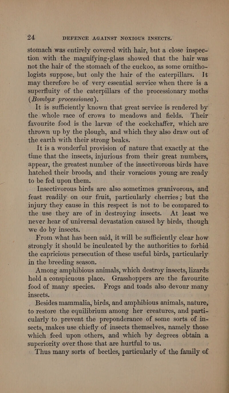 stomach was entirely covered with hair, but a close inspec- tion with the magnifying-glass showed that the hair was not the hair of the stomach of the cuckoo, as some ornitho- logists suppose, but only the hair of the caterpillars. It may therefore be of very essential service when there is a superfluity of the caterpillars of the processionary moths (Bombyx processionea). It is sufficiently known that great service is rendered by the whole race of crows to meadows and fields. Their favourite food is the larvee of the cockchaffer, which are thrown up by the plough, and which they also draw out of the earth with their strong beaks. It is a wonderful provision of nature that exactly at the time that the insects, injurious from their great numbers, appear, the greatest number of the insectivorous birds have hatched their broods, and their voracious young are ready to be fed upon them. Insectivorous birds are also sometimes granivorous, and feast readily on our fruit, particularly cherries; but the injury they cause in this respect is not to be compared to the use they are of in destroying insects. At least we never hear of universal devastation caused by birds, though we do by insects. From what has been said, it will be sufficiently clear how strongly it should be inculcated by the authorities to forbid the capricious persecution of these useful birds, particularly in the breeding season. Among amphibious animals, which destroy insects, lizards hold a conspicuous place. Grasshoppers are the favourite food of many species. Frogs and toads also devour many insects. Besides mammalia, birds, and amphibious animals, nature, to restore the equilibrium among her creatures, and parti- cularly to. prevent the preponderance of some sorts of in- sects, makes use chiefly of insects themselves, namely those which feed upon others, and which by degrees obtain a superiority over those that are hurtful to us. Thus many sorts of beetles, particularly of the family of a