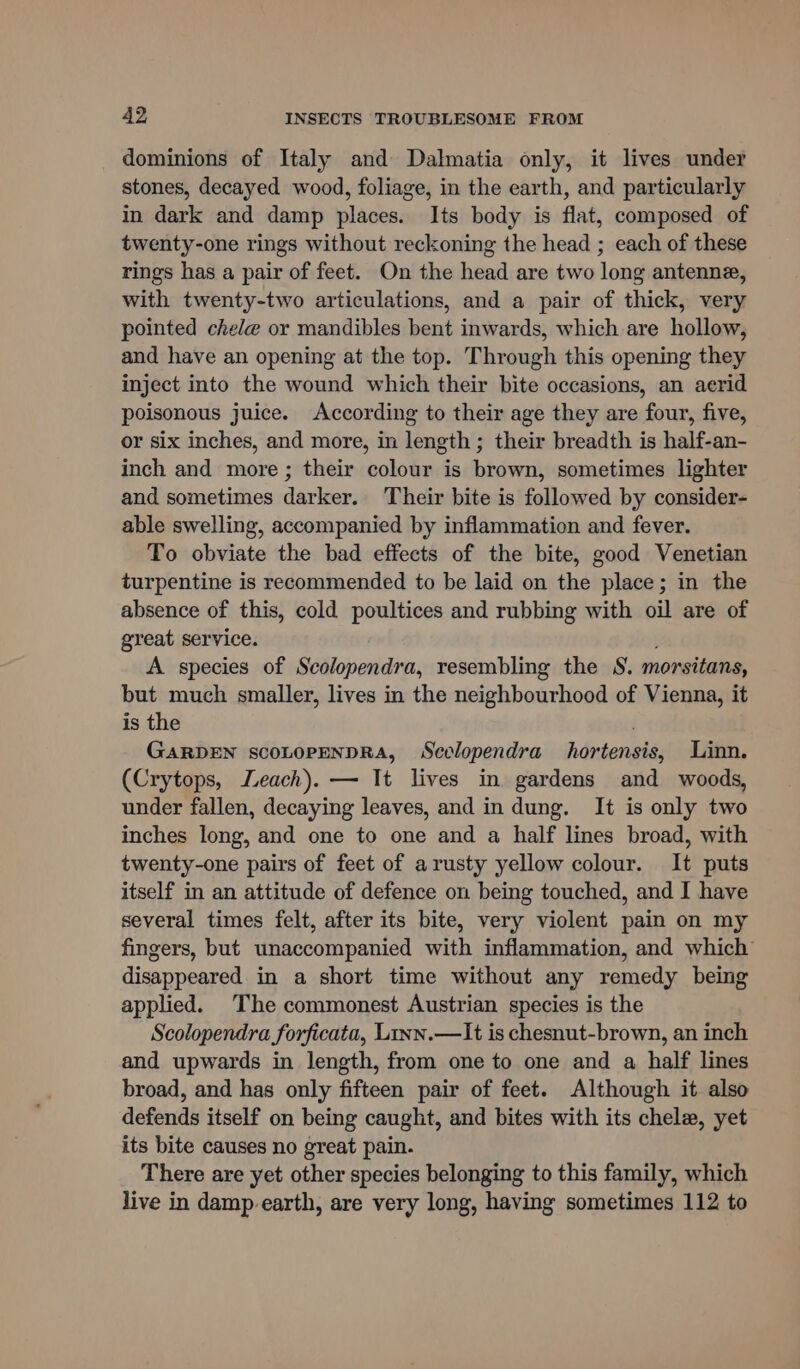 dominions of Italy and Dalmatia only, it lives under stones, decayed wood, foliage, in the earth, and particularly in dark and damp places. Its body is flat, composed of twenty-one rings without reckoning the head ; each of these rings has a pair of feet. On the head are two long antennae, with twenty-two articulations, and a pair of thick, very pointed chele or mandibles bent inwards, which are hollow, and have an opening at the top. Through this opening they inject into the wound which their bite occasions, an aerid poisonous juice. According to their age they are four, five, or six inches, and more, in length; their breadth is half-an- inch and more ; their colour is brown, sometimes lighter and sometimes darker. Their bite is followed by consider- able swelling, accompanied by inflammation and fever. To obviate the bad effects of the bite, good Venetian turpentine is recommended to be laid on the place; in the absence of this, cold poultices and rubbing with oil are of great service. A species of Scolopendra, resembling the S. morsitans, but much smaller, lives in the neighbourhood of Vienna, it is the . GARDEN SCOLOPENDRA, Scclopendra hortensis, Linn. (Crytops, Leach). — It lives in gardens and woods, under fallen, decaying leaves, and in dung. It is only two inches long, and one to one and a half lines broad, with twenty-one pairs of feet of arusty yellow colour. It puts itself in an attitude of defence on being touched, and I have several times felt, after its bite, very violent pain on my fingers, but unaccompanied with inflammation, and which’ disappeared in a short time without any remedy being applied. The commonest Austrian species is the Scolopendra forficata, L1nn.—It is chesnut-brown, an inch and upwards in length, from one to one and a half lines broad, and has only fifteen pair of feet. Although it also defends itself on being caught, and bites with its chele, yet its bite causes no great pain. There are yet other species belonging to this family, which live in damp earth, are very long, having sometimes 112 to