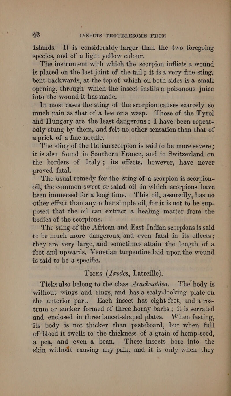 Islands. It is considerably larger than the two foregoing species, and of a light yellow colour. The instrument with which the scorpion inflicts a wound is placed on the last joint of the tail; it isa very fine sting, bent backwards, at the top of which on both sides is a small opening, through which the insect instils a poisonous juice into the wound it has made. In most cases the sting of the scorpion causes scarcely so much pain as that of a bee ora wasp. Those of the Tyrol and Hungary are the least dangerous ; I have been repeat- edly stung by them, and felt no other sensation than that of a prick of a fine needle. The sting of the Italian scorpion is said to be more severe ; it is also found in Southern France, and in Switzerland on the borders of Italy; its effects, however, have never proved fatal. The usual remedy for the sting of a scorpion is scorpion- oil, the common sweet or salad oil in which scorpions have been immersed for a long time. This oil, assuredly, has no other effect than any other simple oil, for it is not to be sup- posed that the oil can extract a healing matter from the bodies of the scorpions. The sting of the African and East Indian scorpions is said to be much more dangerous, and even fatal in its effects ; they are very large, and sometimes attain the length of a foot and upwards. Venetian turpentine laid upon the wound is said to be a specific. Ticks (Jwodes, Latreille). Ticks also belong to the class Avachnoidea. The body is without wings and rings, and has a scaly-looking plate on the anterior part. Each insect has eight feet, and a ros- trum or sucker formed of three horny barbs ; it is serrated and enclosed in three lancet-shaped plates. When fasting, its body is not thicker than pasteboard, but when full of blood it swells to the thickness of a grain of hemp-seed, a pea, and even a bean. ‘These insects bore into the skin withofit causing any pain, and it is only when they — - -